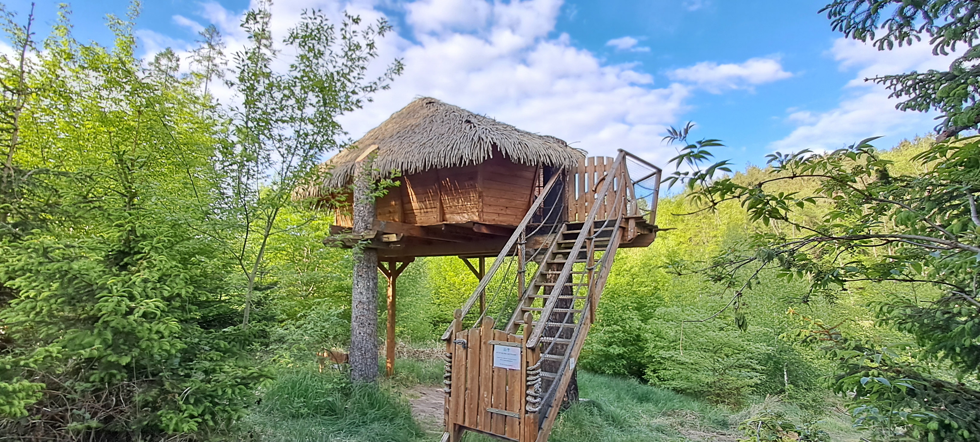 Tree House U Jezevce foto 5
