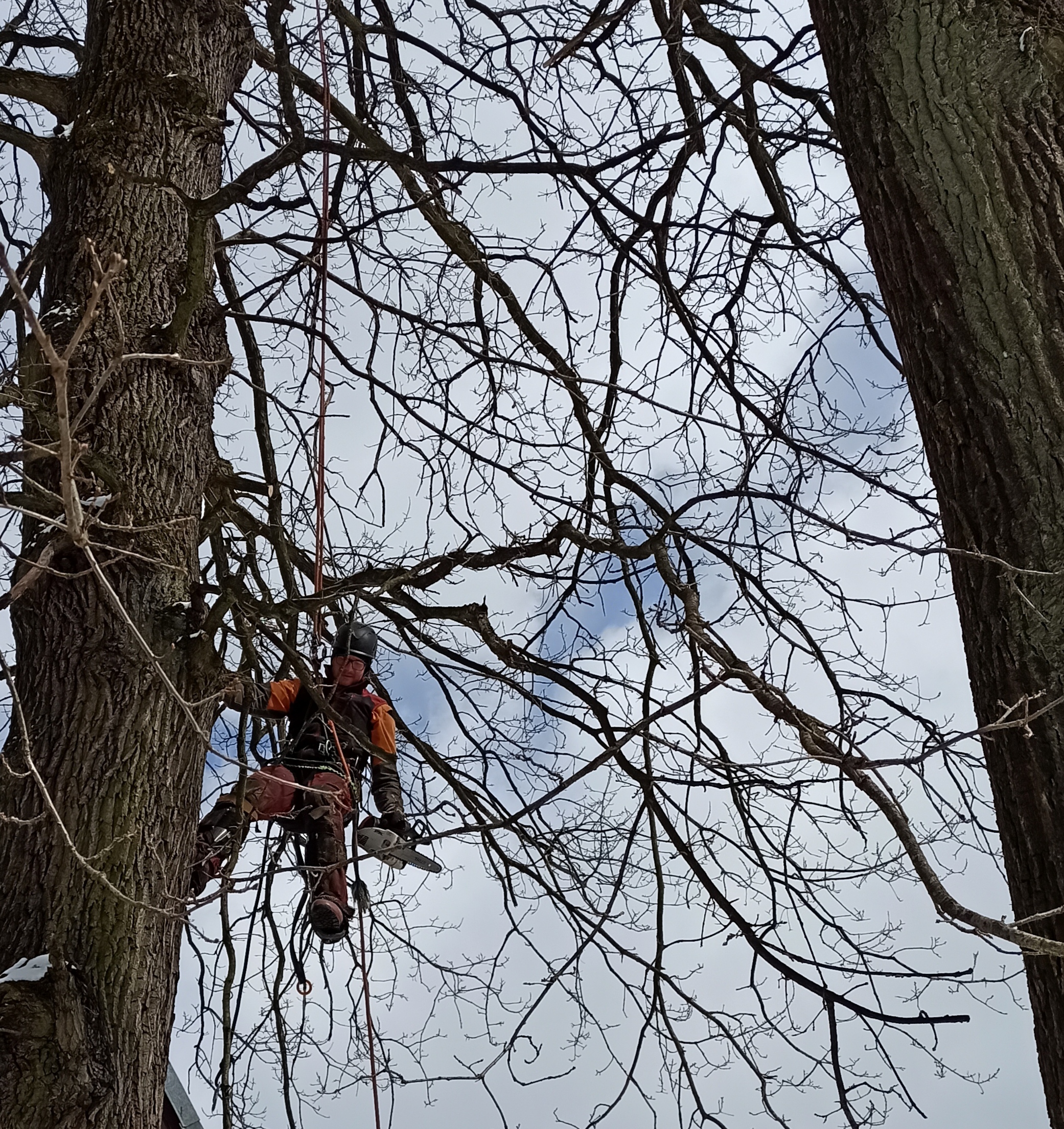 Rizikové kácení Roman Kvarda foto 2