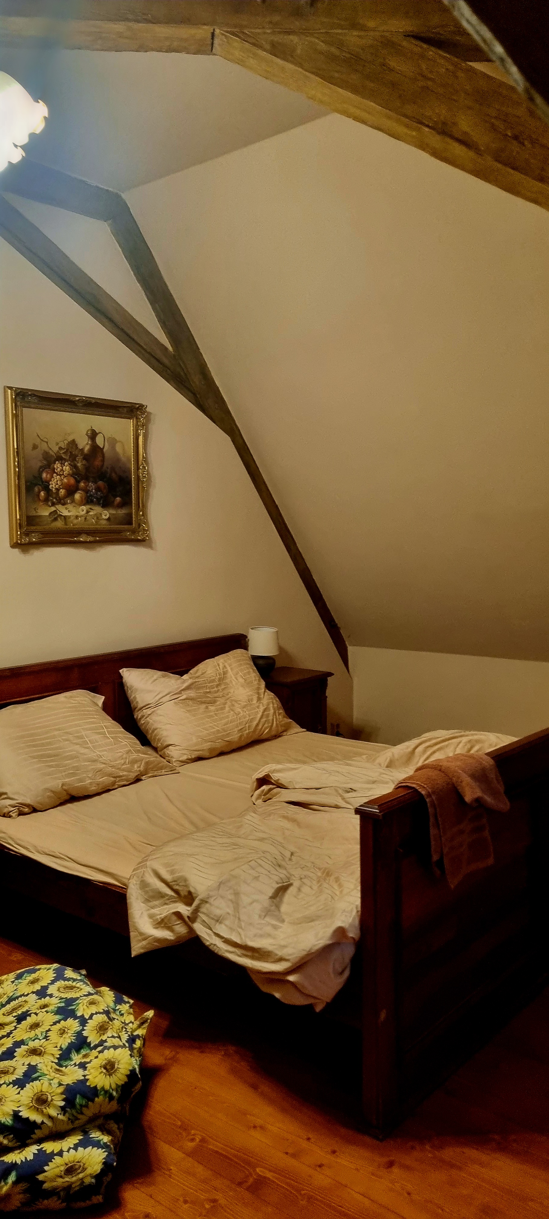 Pivovarský dvůr Plasy foto 5