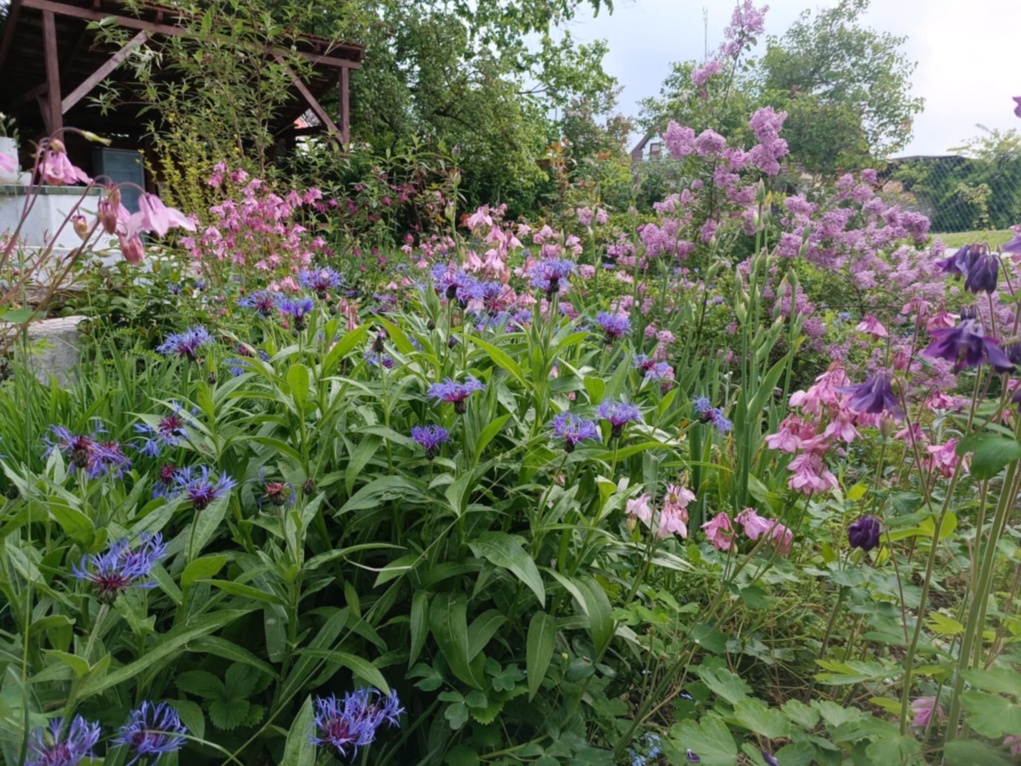 Ubytování Pod Jilmem foto 6