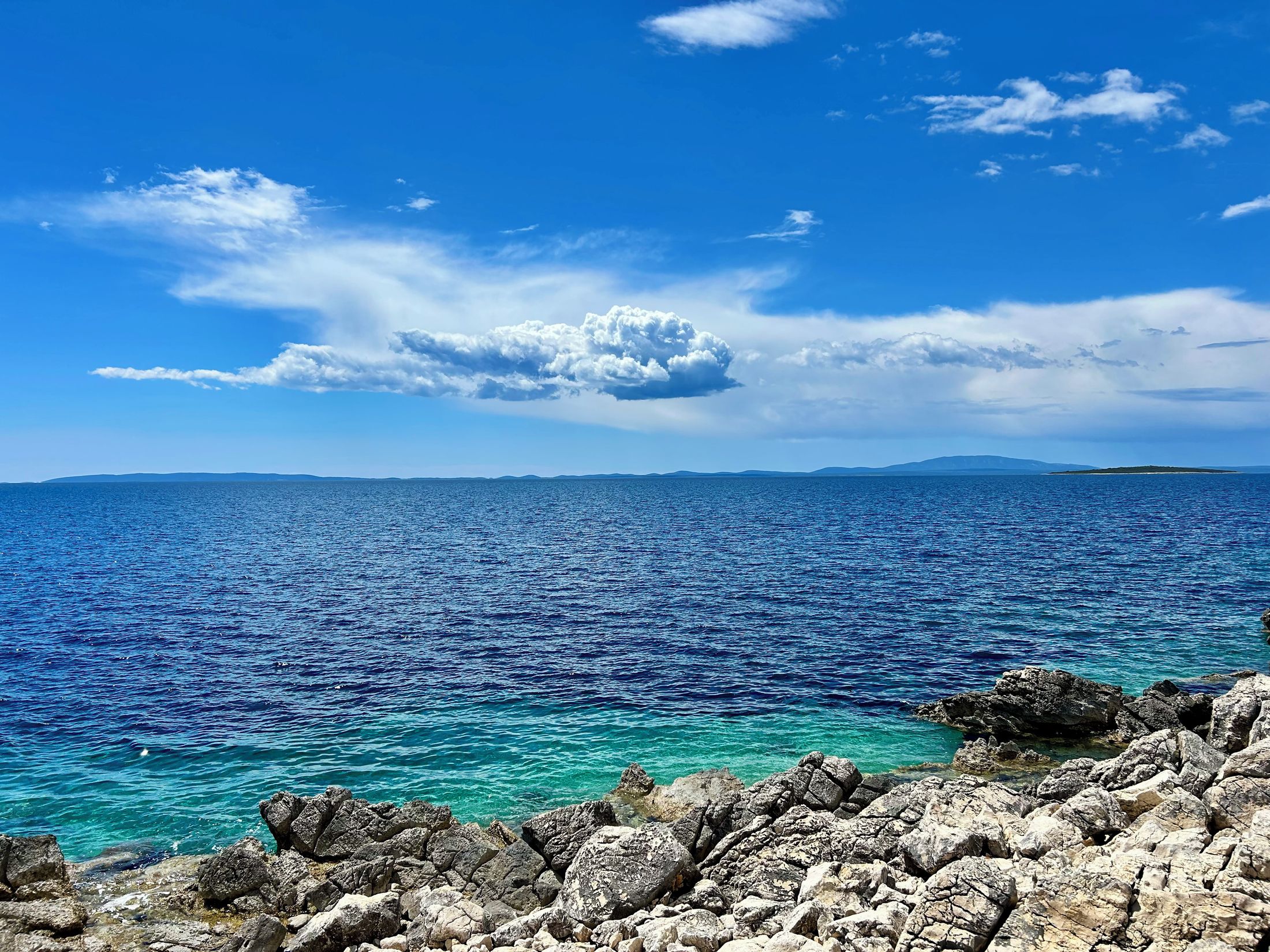 Dalmacja