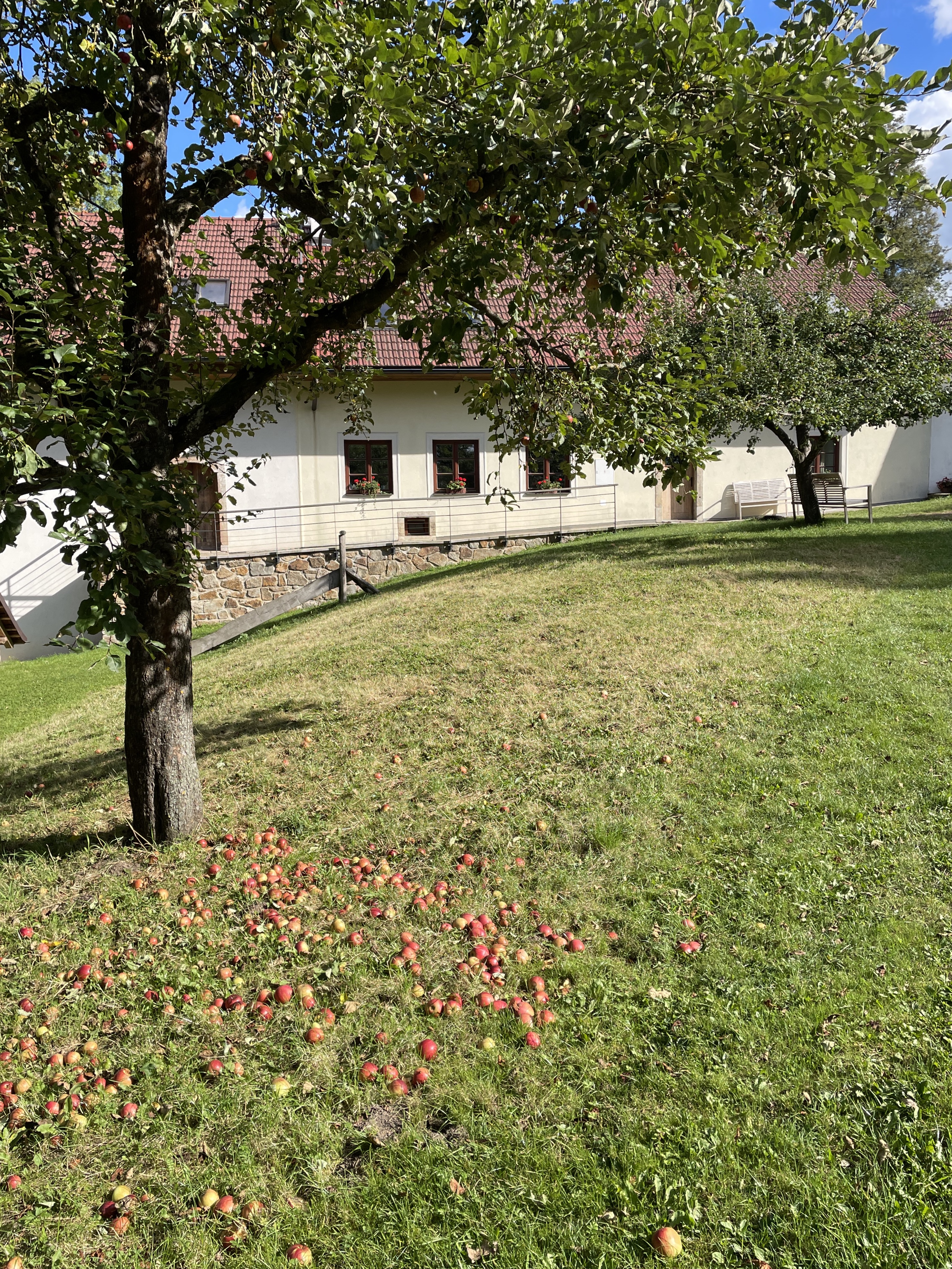 Třeštický mlýn foto 6