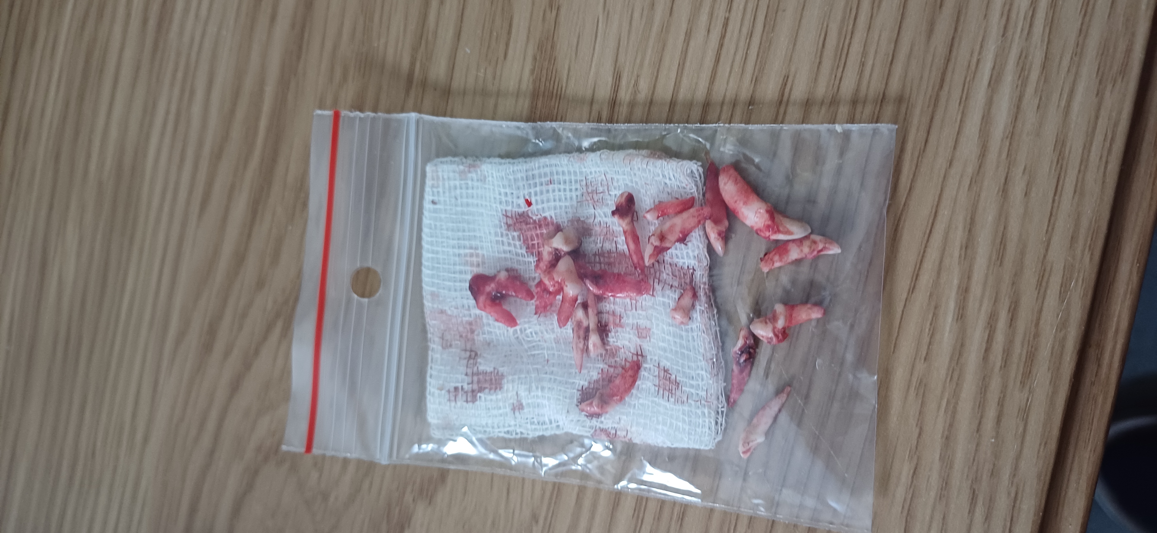 Veterinární klinika Mada foto 3