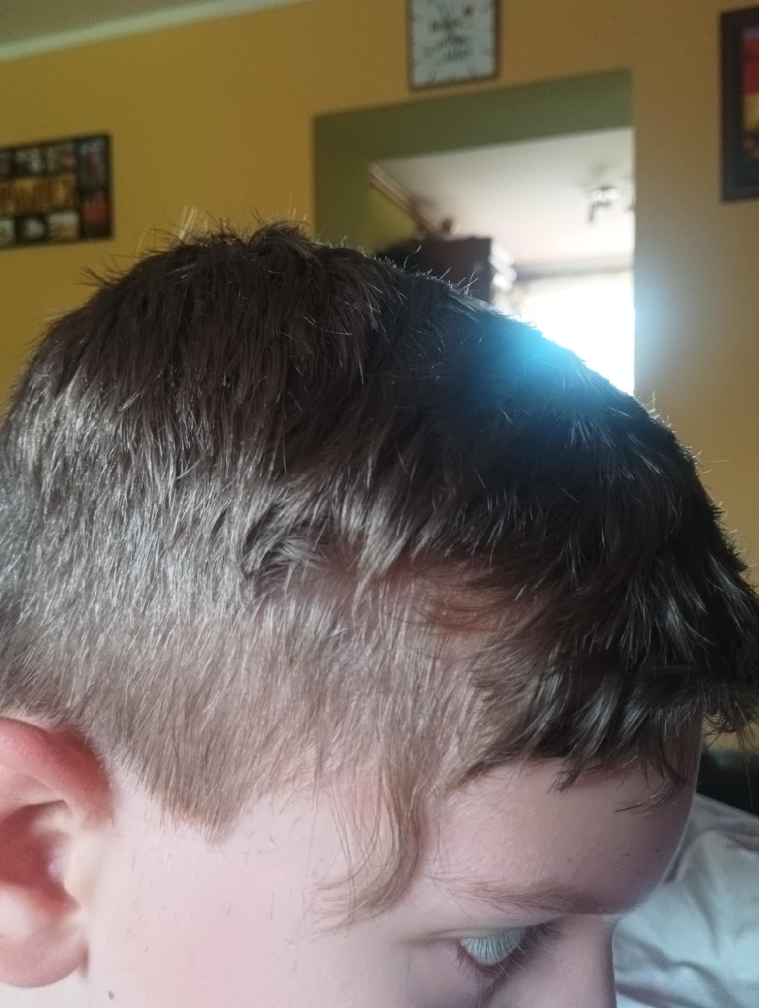 Kadeřnictví AndroVera - Veronika Stiborková foto 2