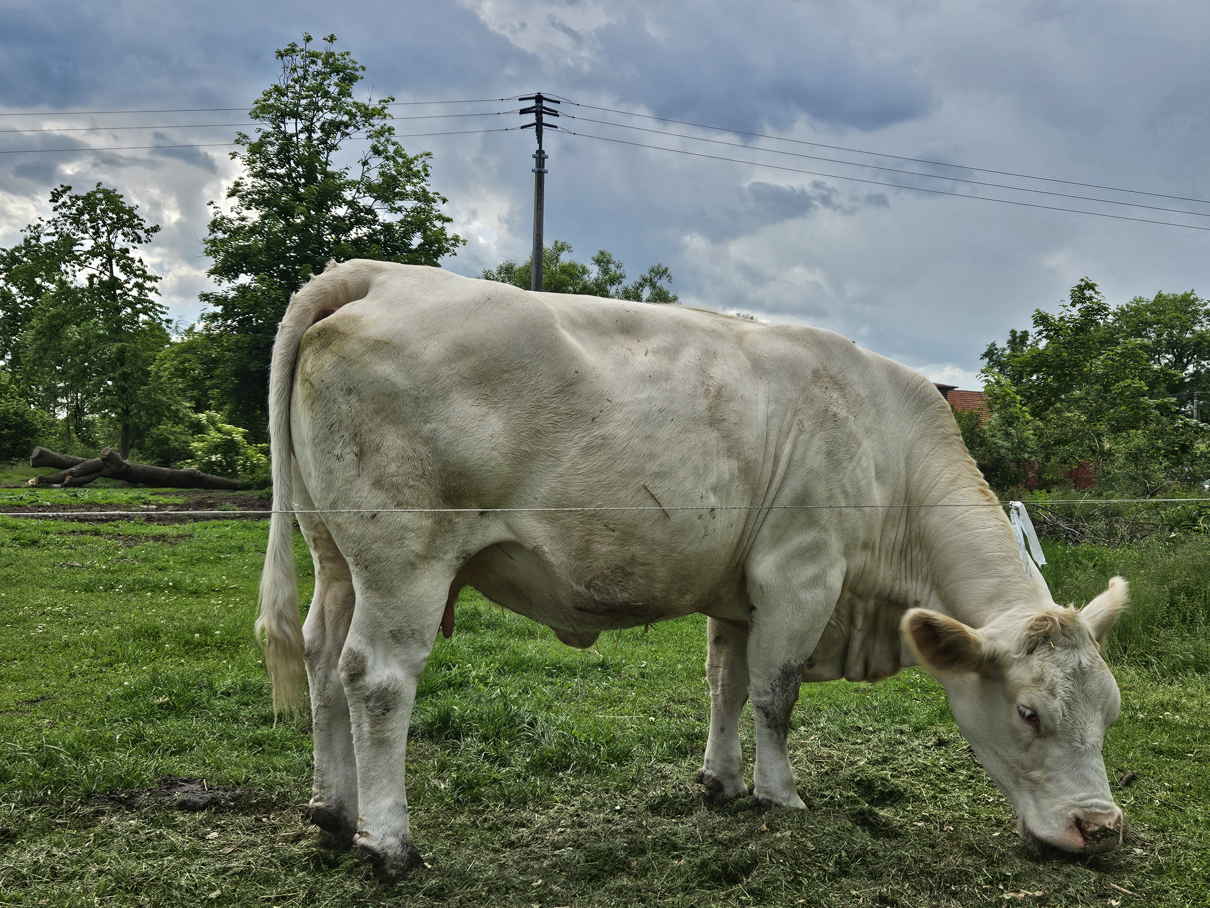 Tělocvičná jednotka Sokol Košatka foto 1