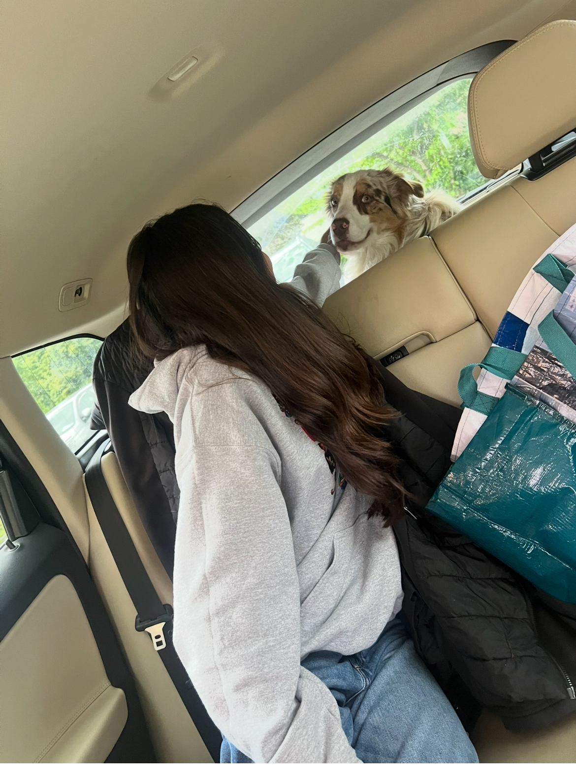 VETINO Jaggy Praha a.s. foto 4