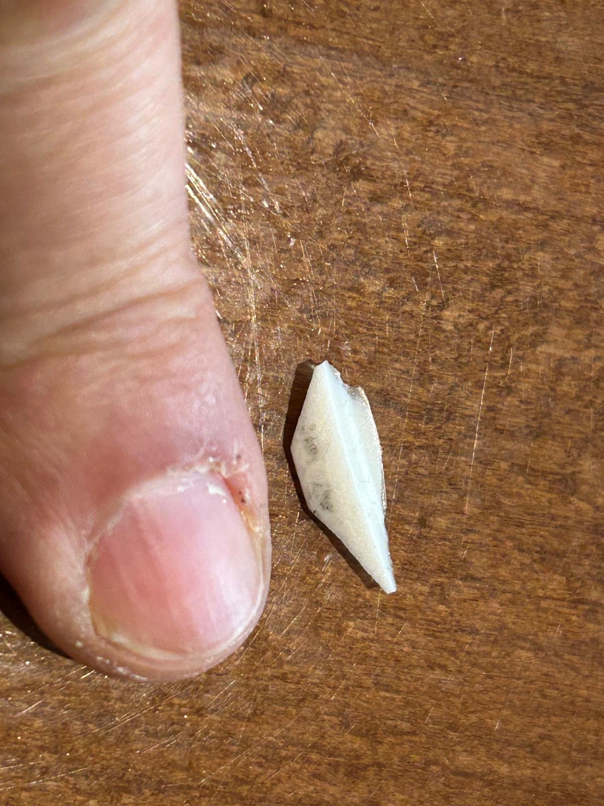 La Rosa - WOKNO foto 3