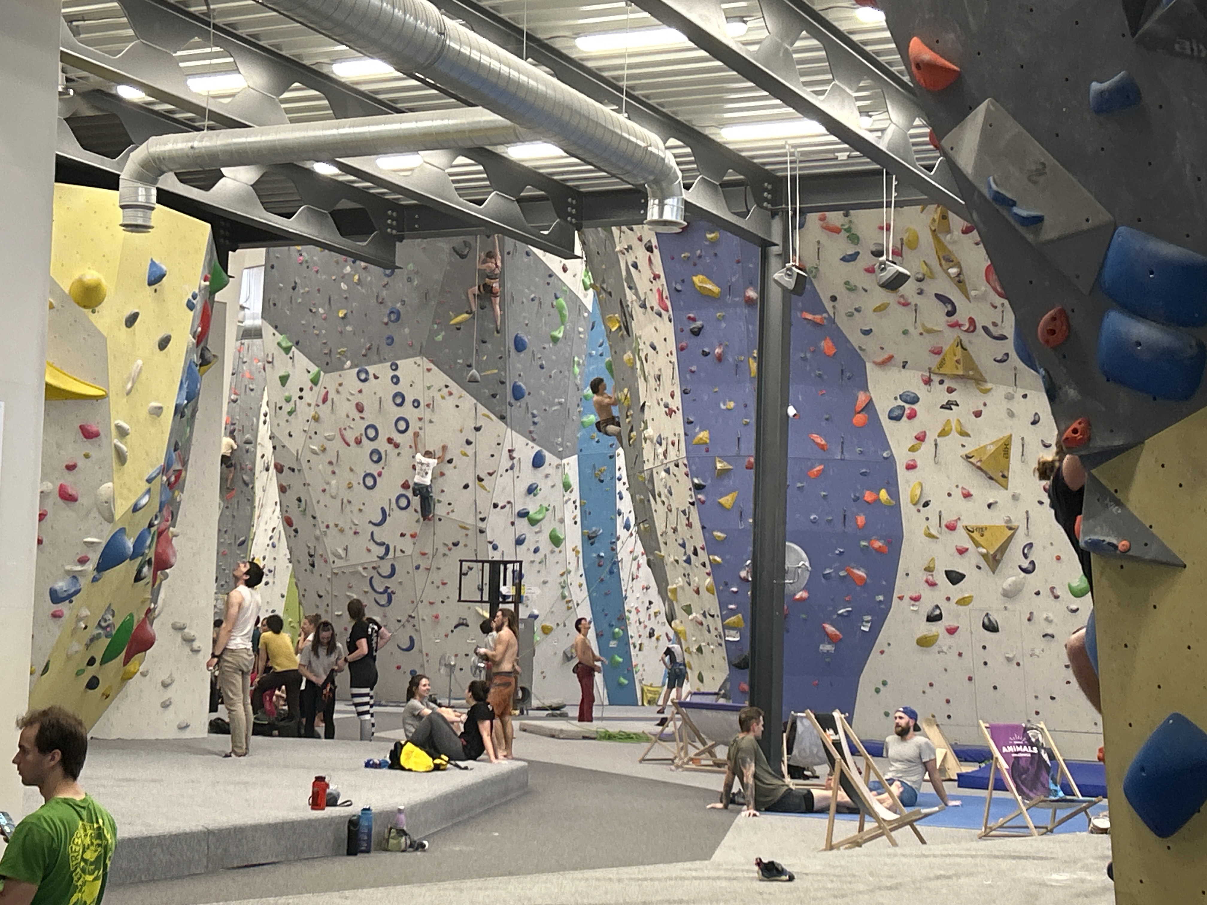 Jungle sport park foto 3