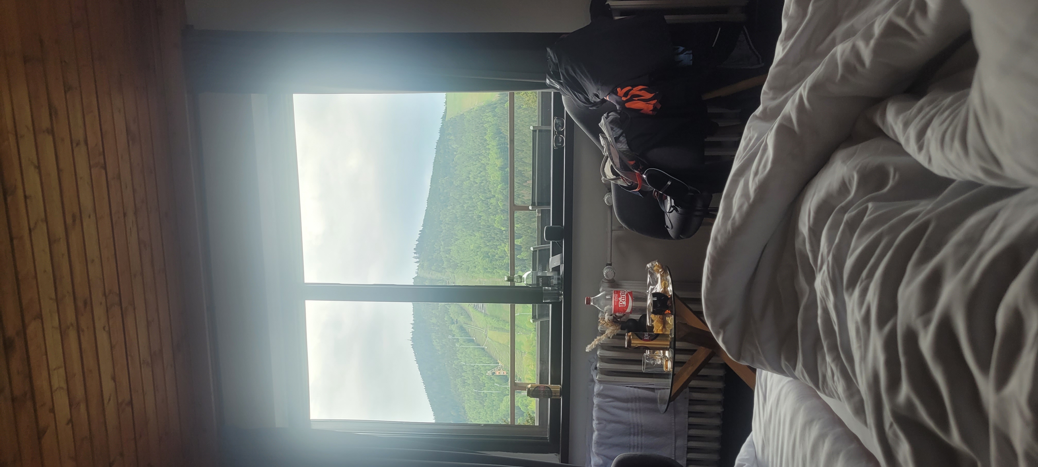 Wellness Hotel Šedý Vlk foto 5