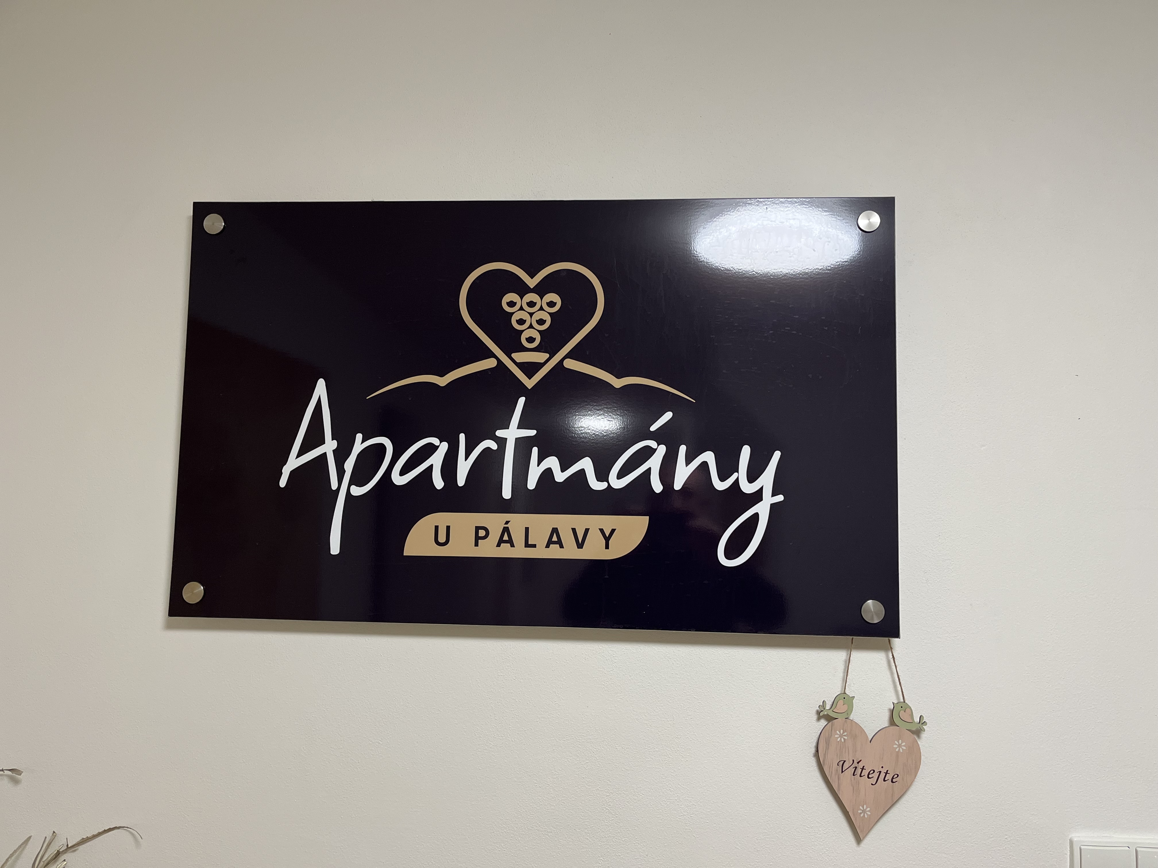 Apartmány u Pálavy foto 5