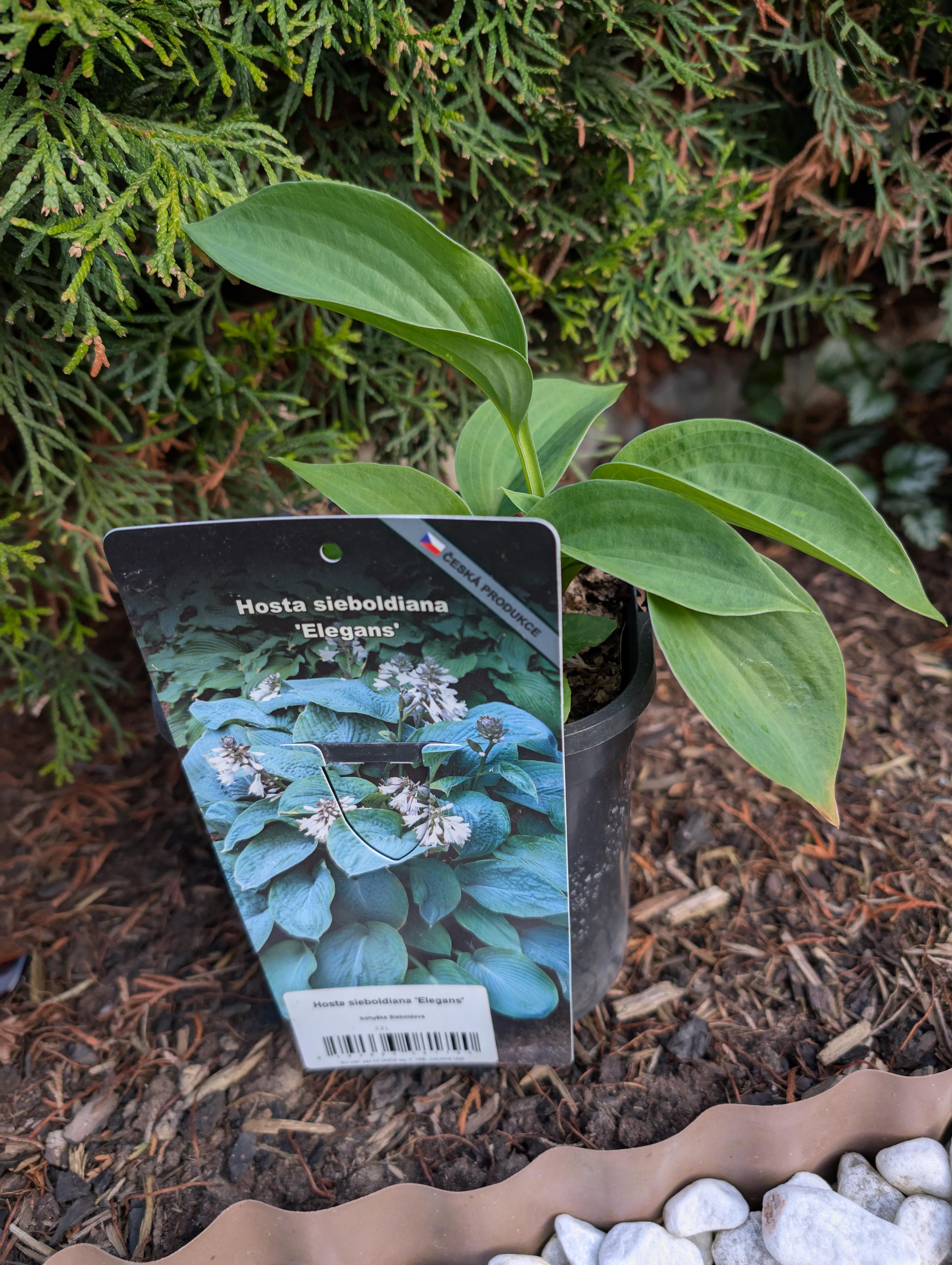 Zahradní a parková, spol. s r.o. foto 3