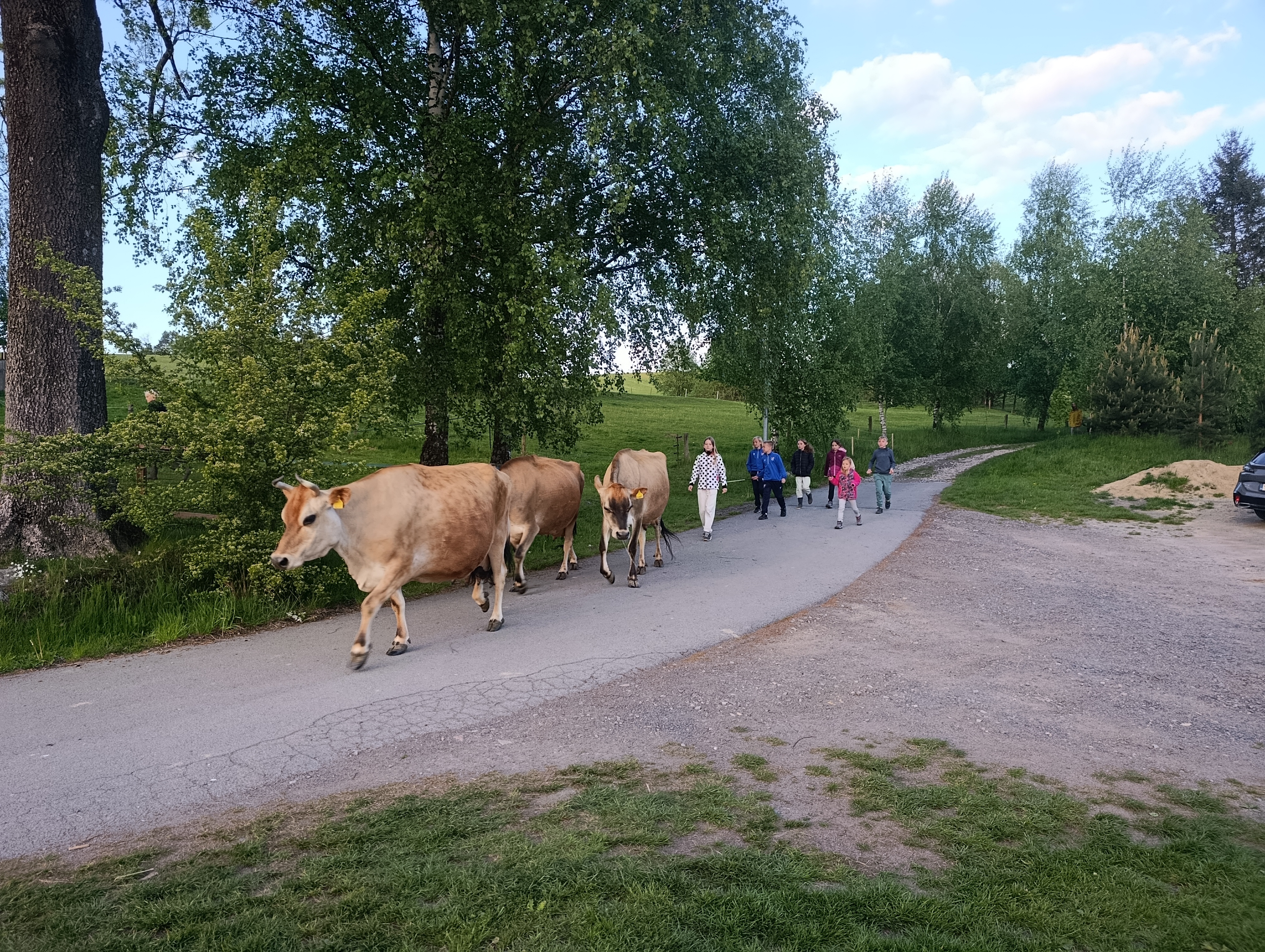 Farma pod kopcem foto 4