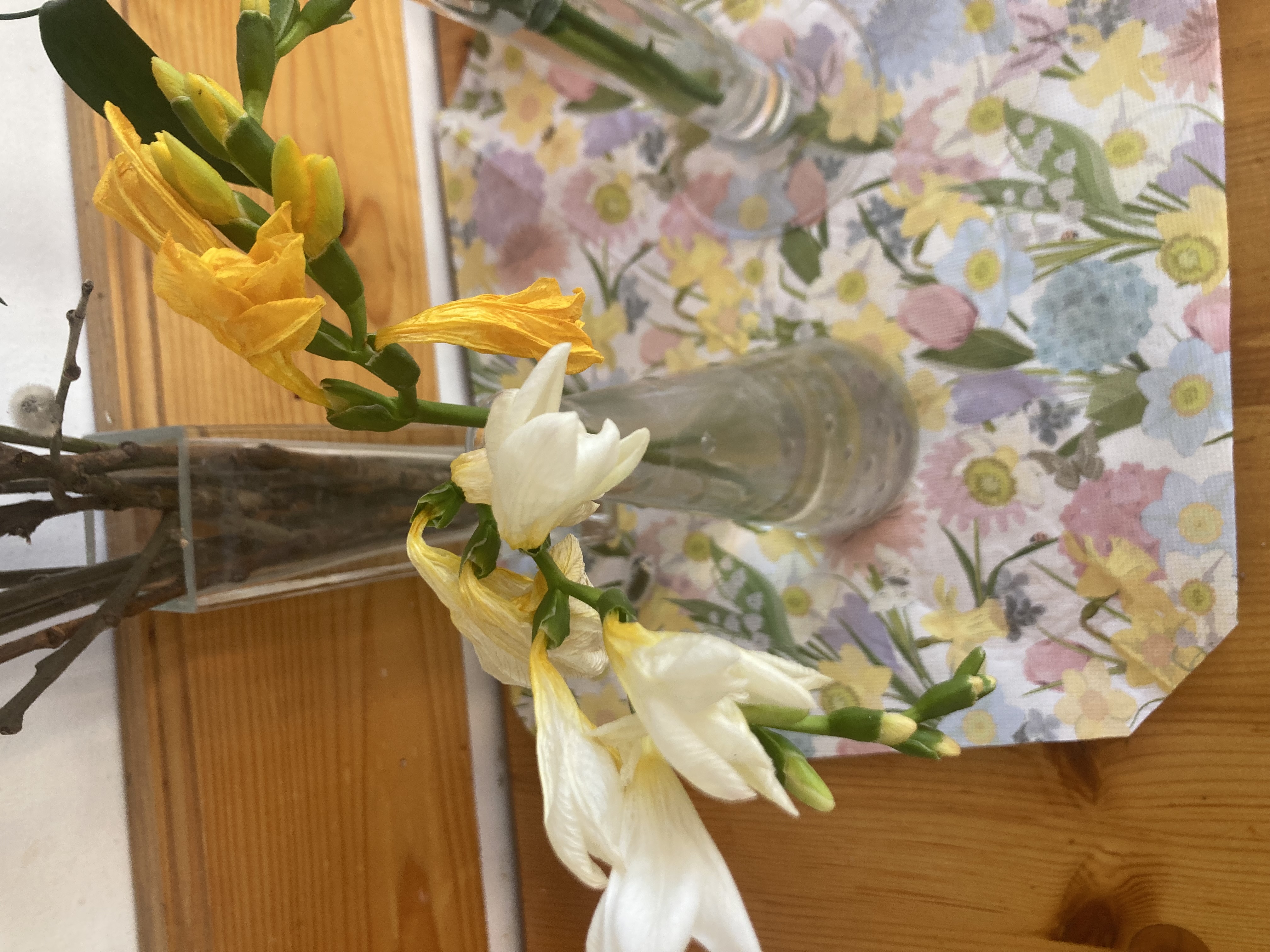 HOLANDSKÉ KVĚTINY, s.r.o. foto 5