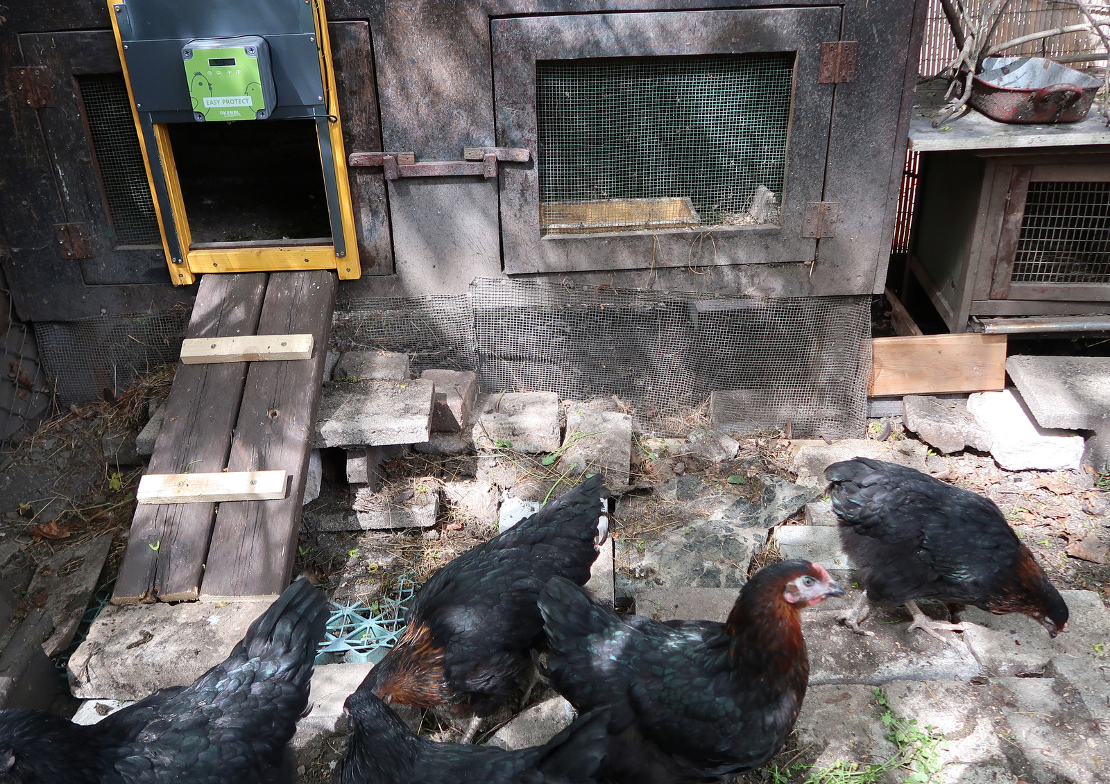 Josef Dvořák - STATEK DVOŘÁK foto 2