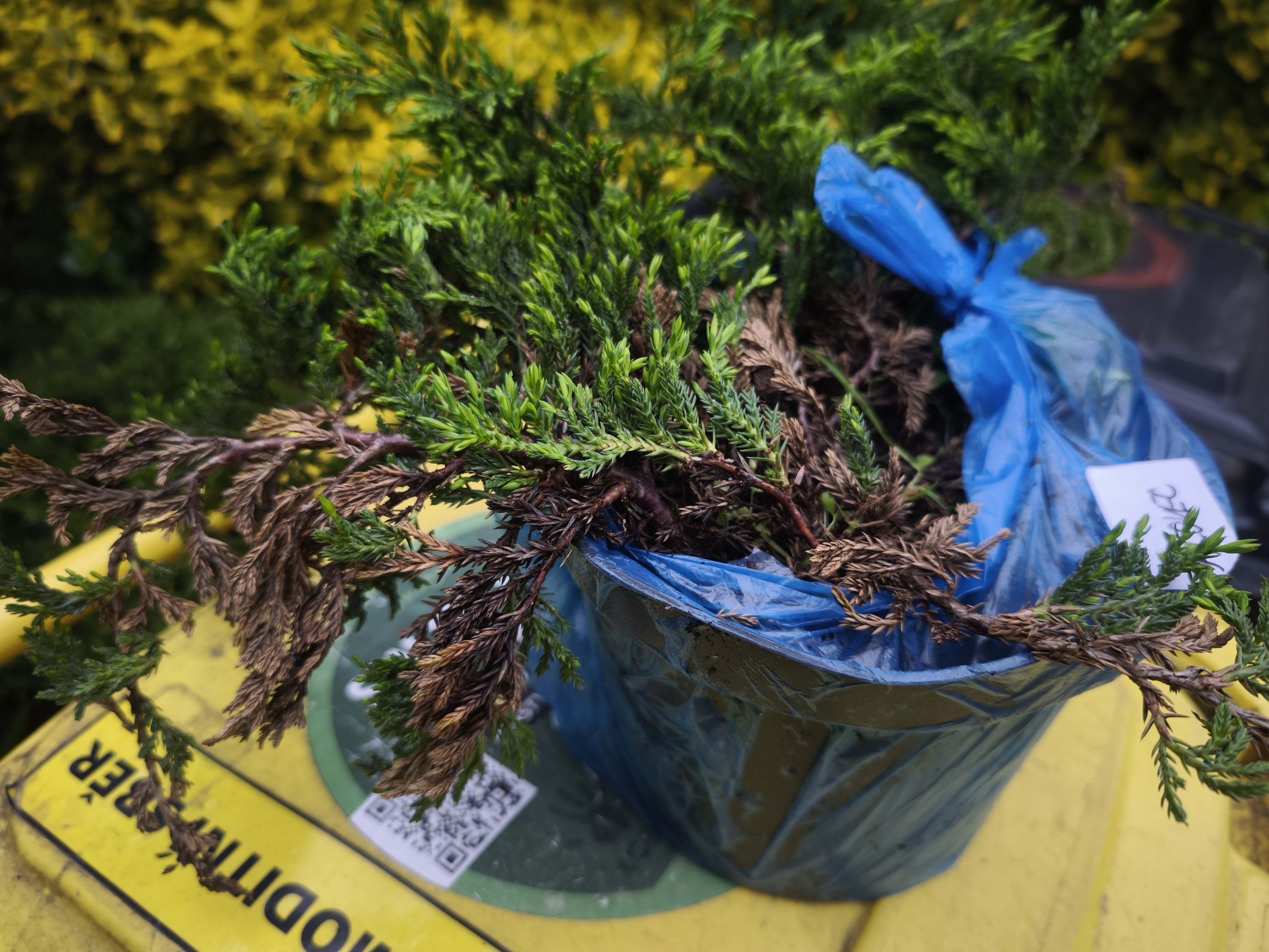 Zahradnictvi-rool.cz foto 4