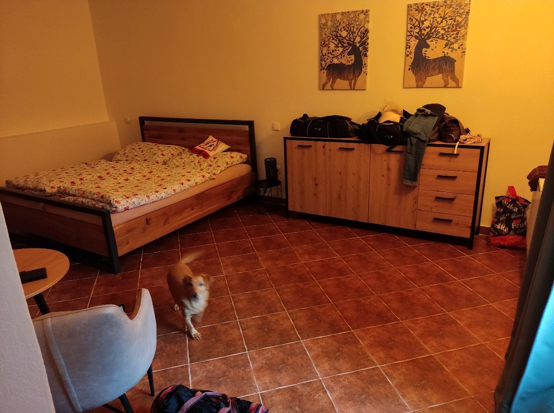 Vincentův dvůr foto 5