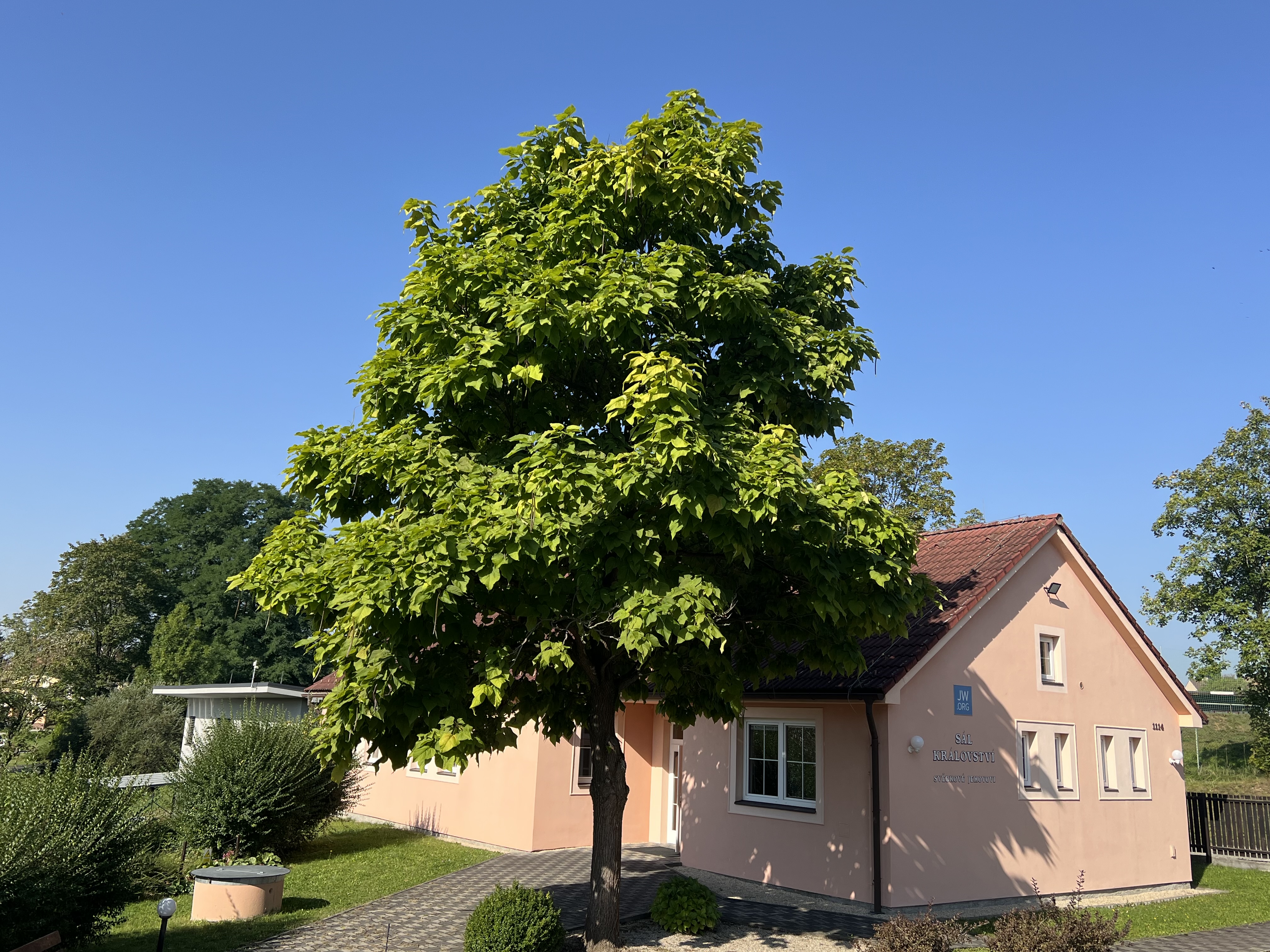 Náboženská společnost Svědkové Jehovovi foto 3