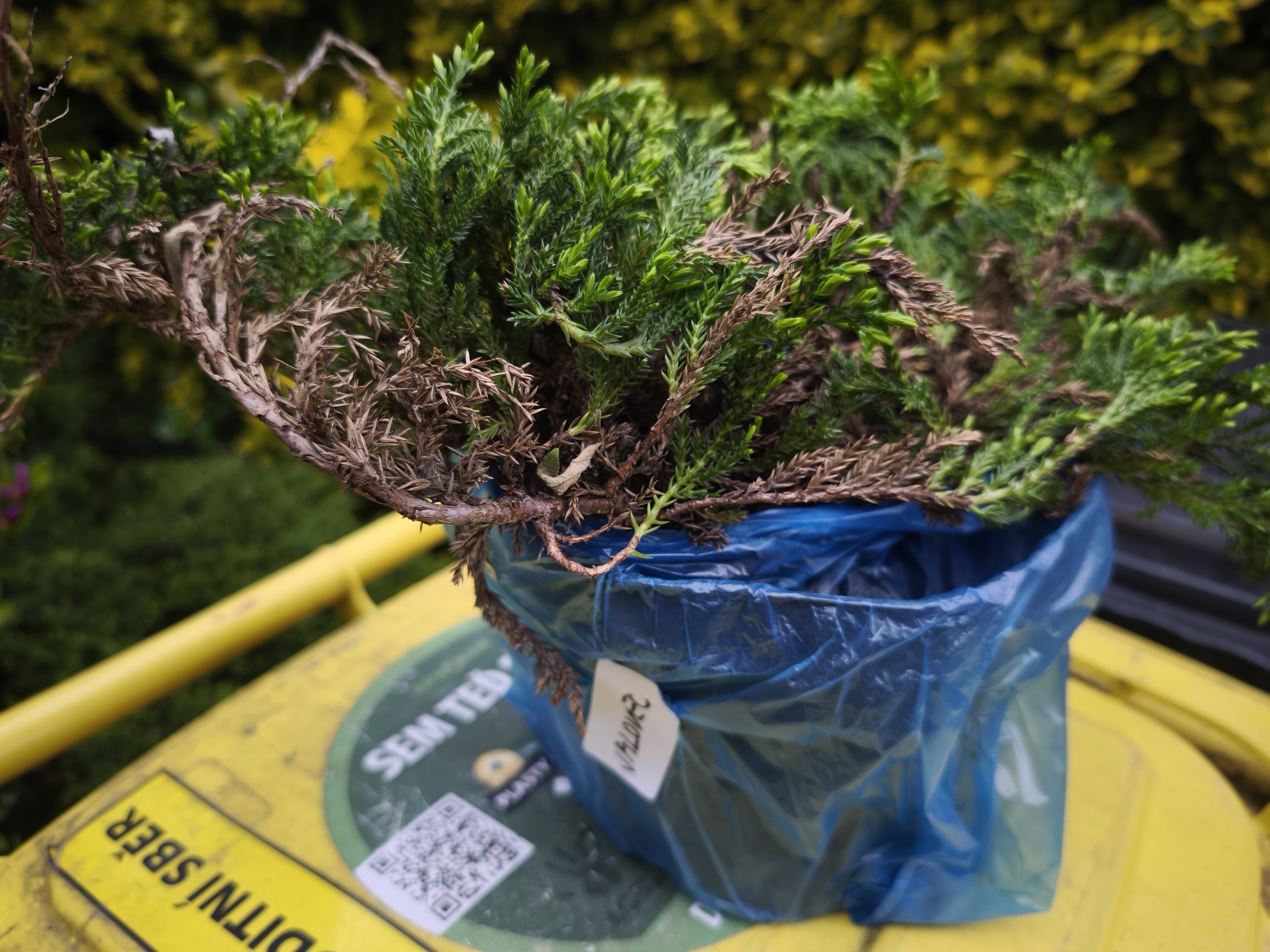 Zahradnictvi-rool.cz foto 5