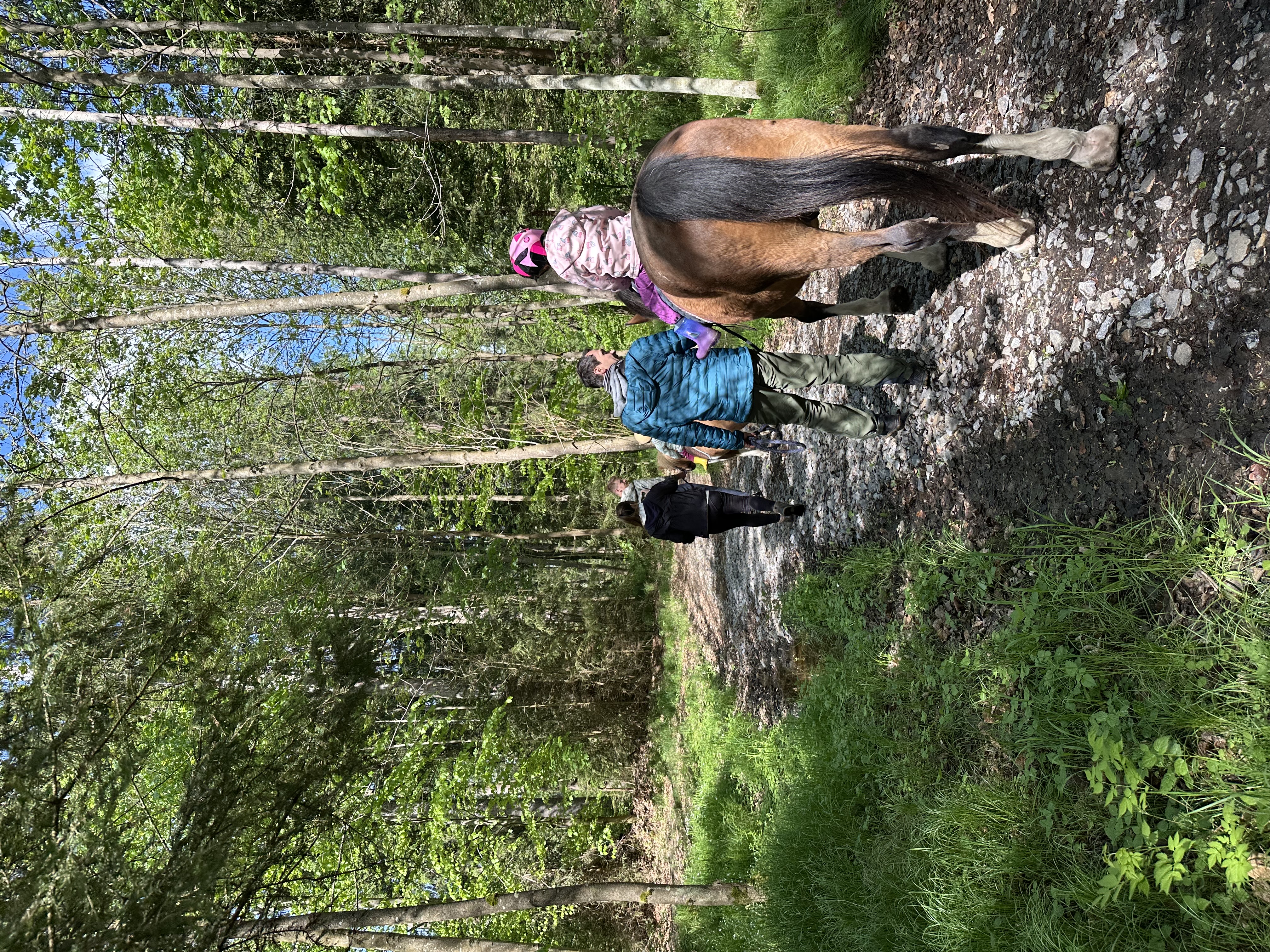 Jízdárna Divišov u Sušice foto 5
