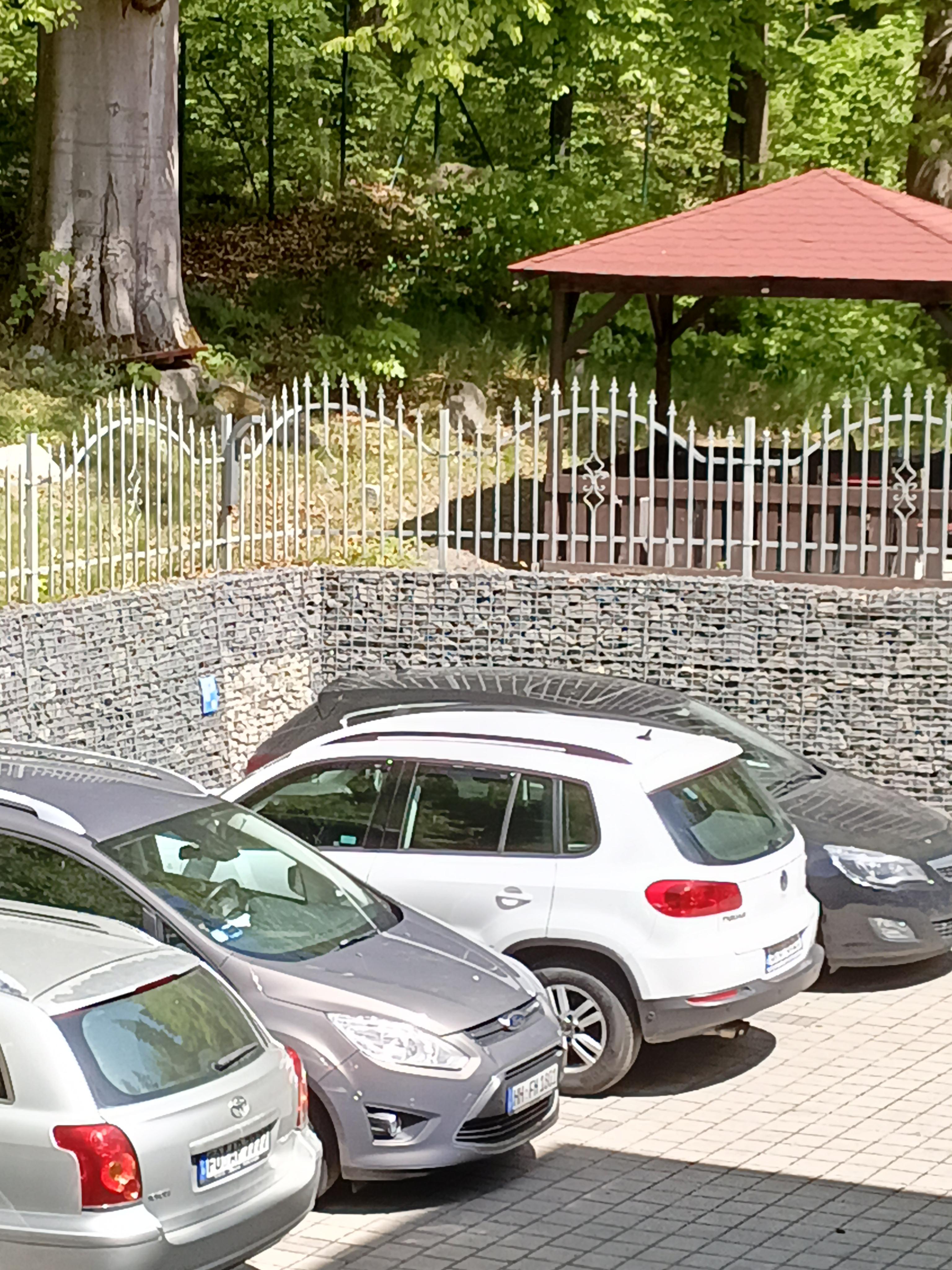 PARKHOTEL FOREST foto 4