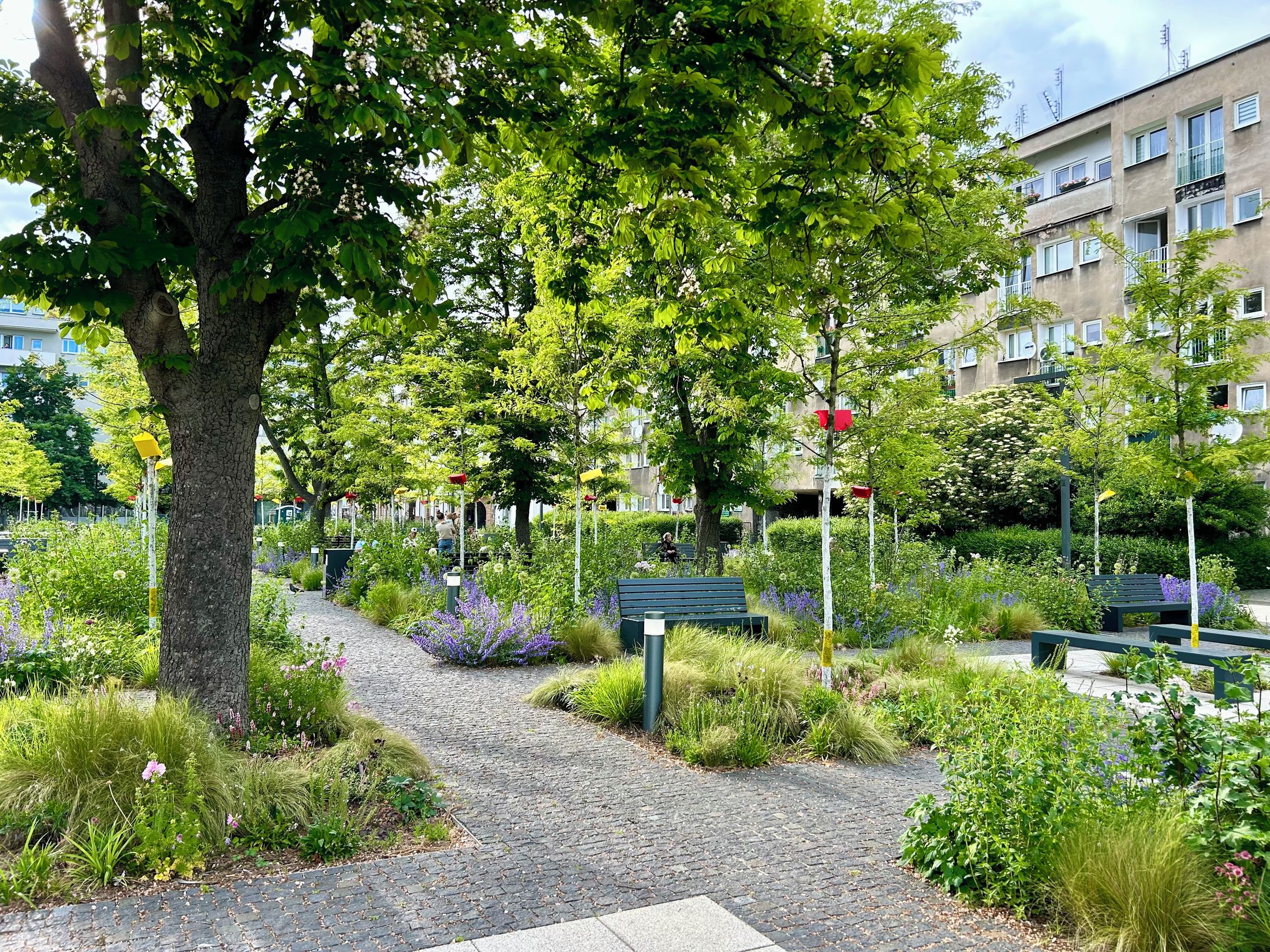 plac Nowy Targ Wrocław