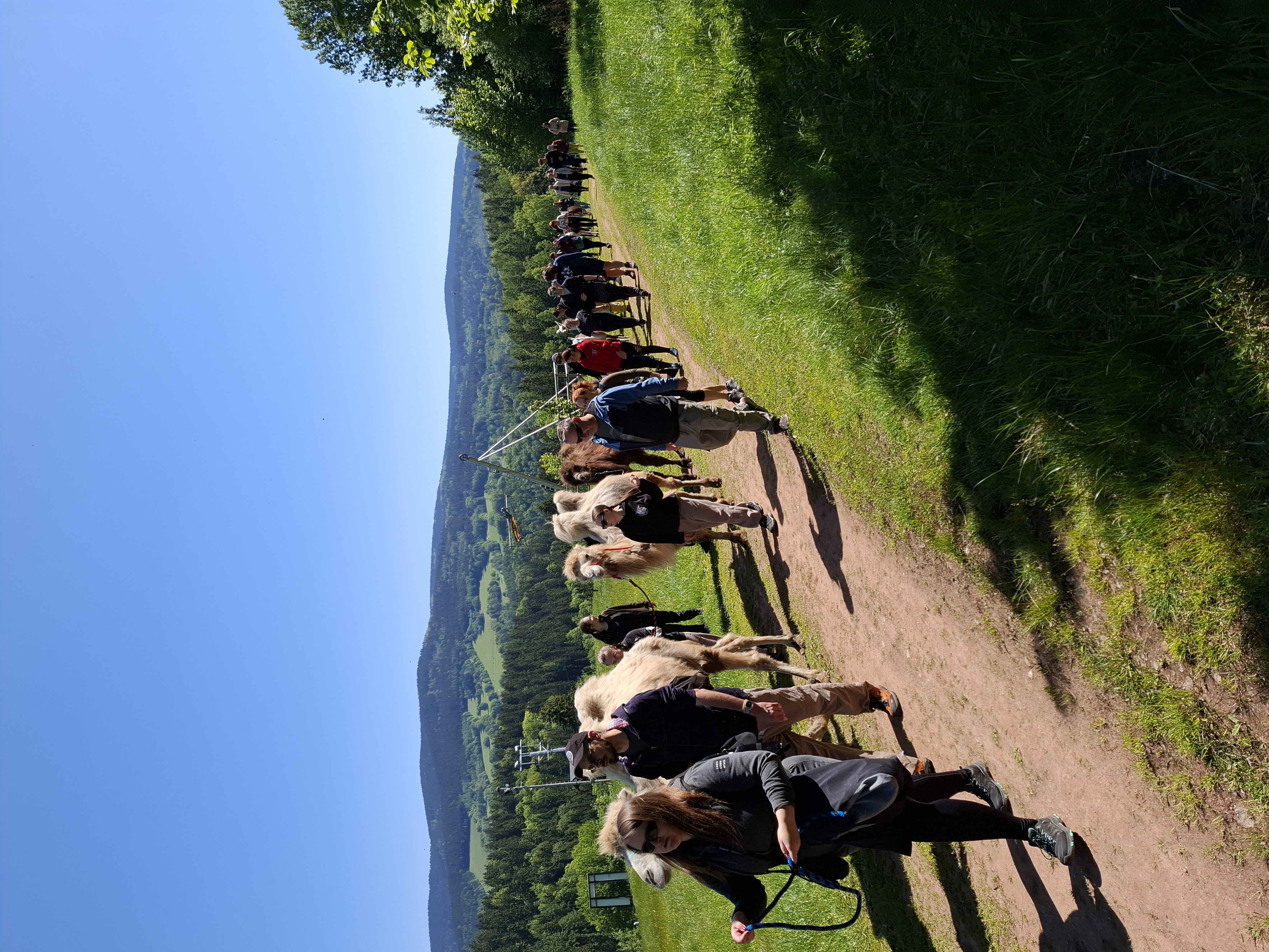 Rodinná farma Vlček foto 2