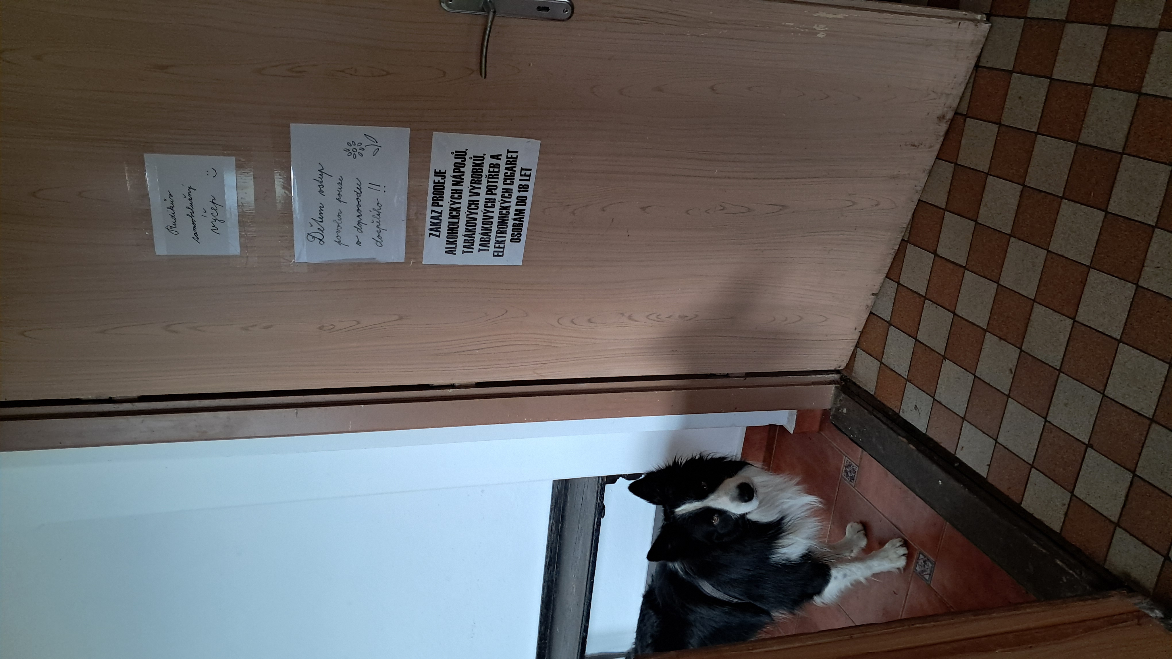 Hostinec U Kodrů foto 1