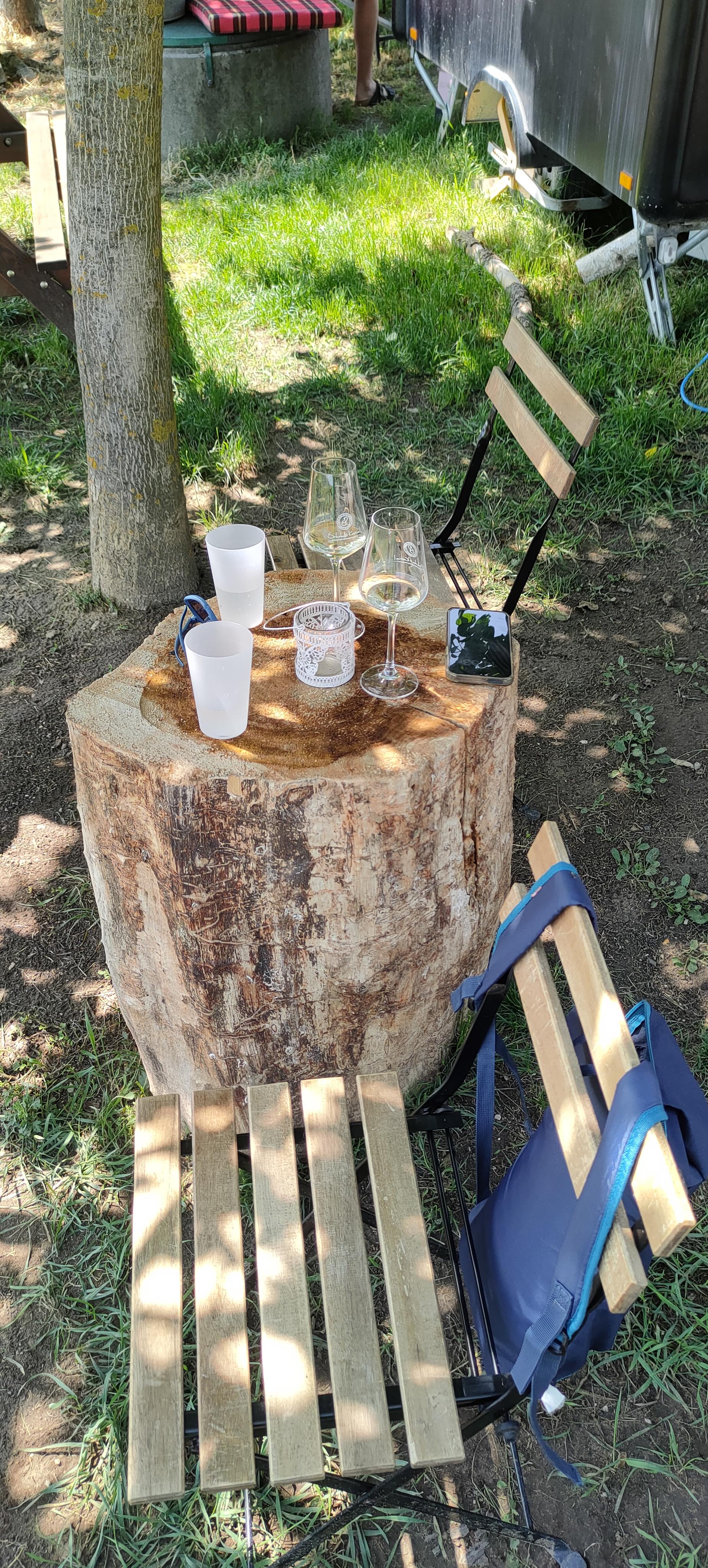 Vinařství Srholec a Koštial foto 3