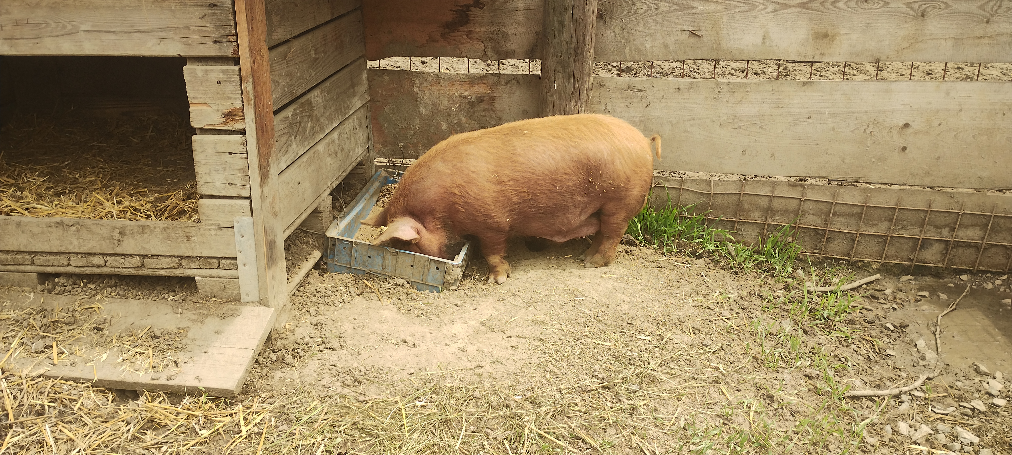 Zoopark Bohatice foto 5