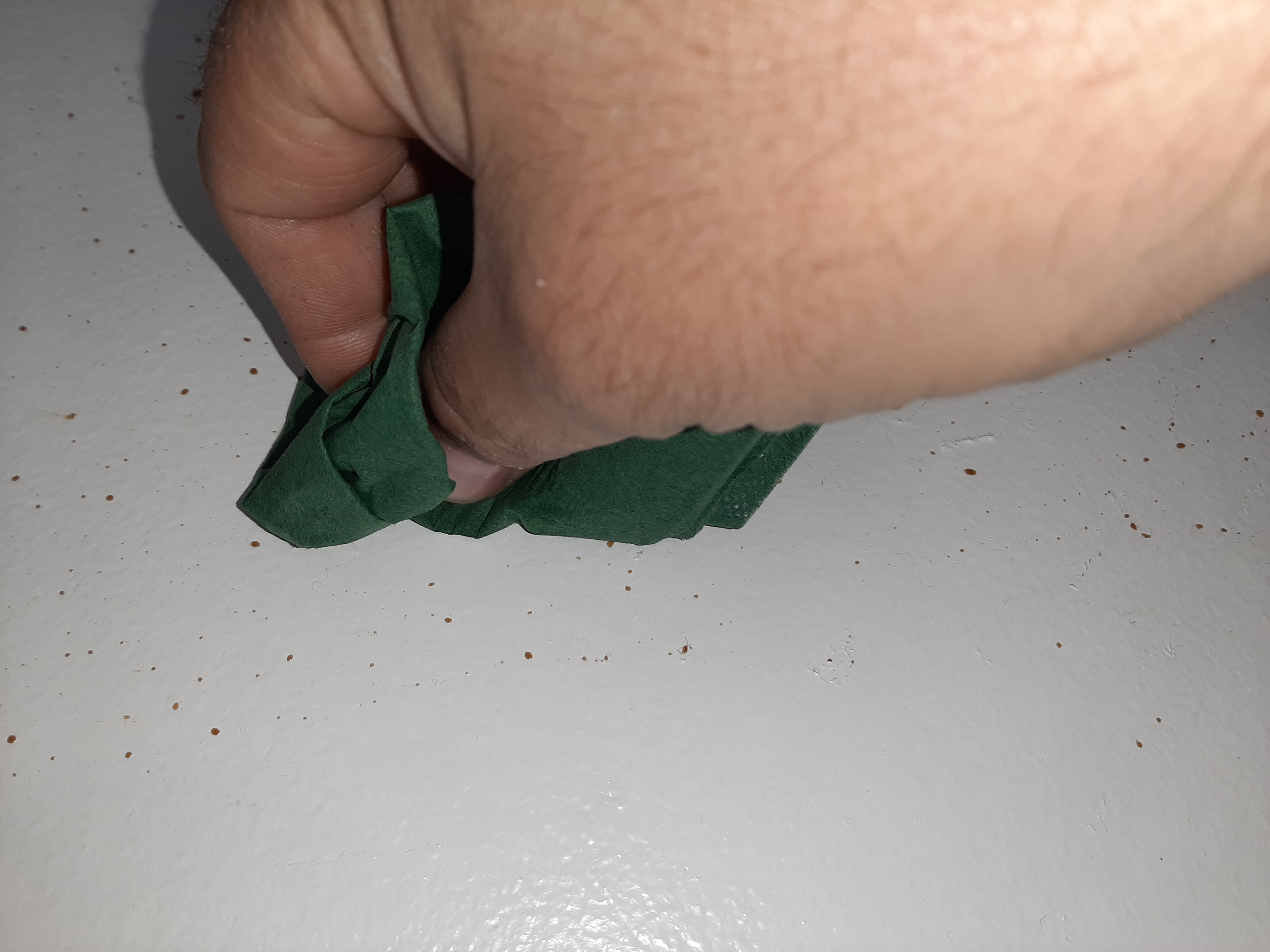Západočeská univerzita v Plzni - Menza Bory foto 5