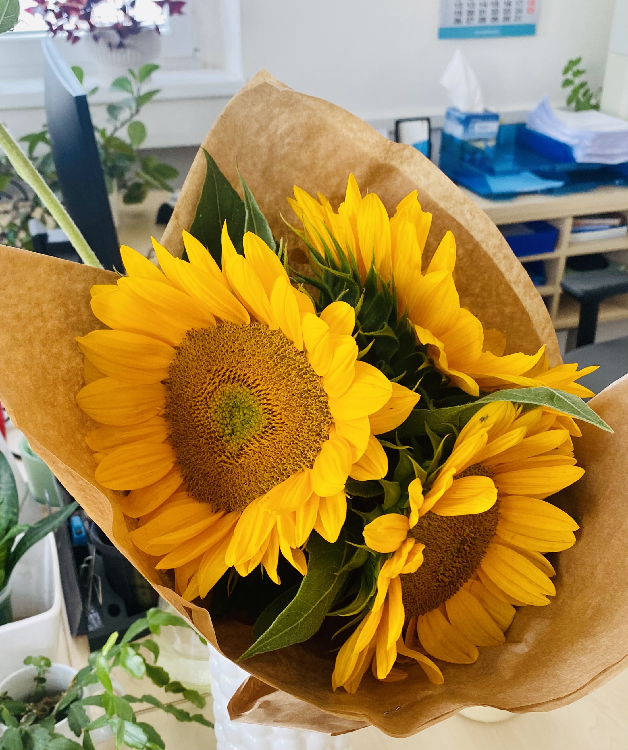 Almara Od.Jakuba foto 6