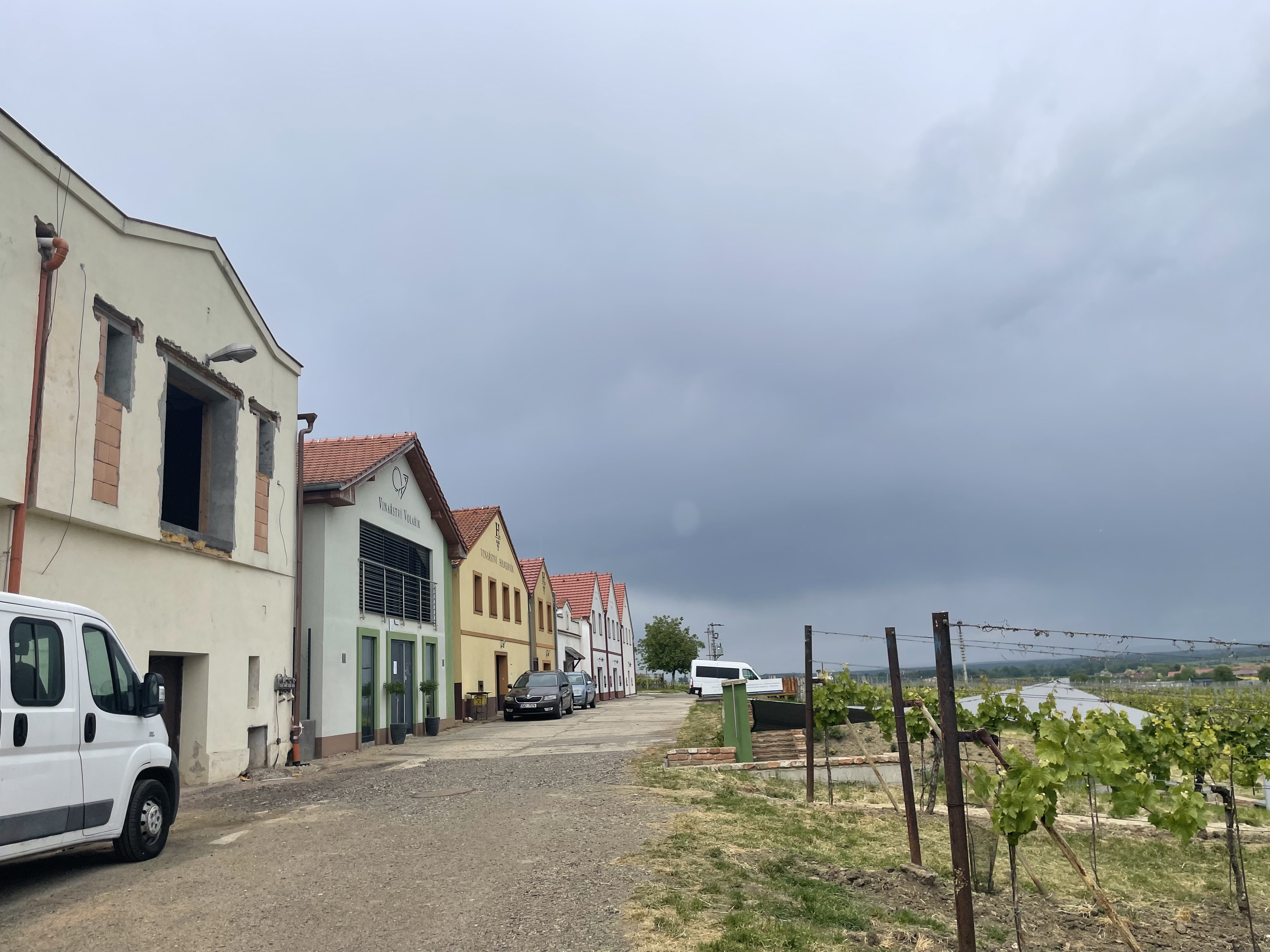 Vinařství Volavka - Ubytování foto 4