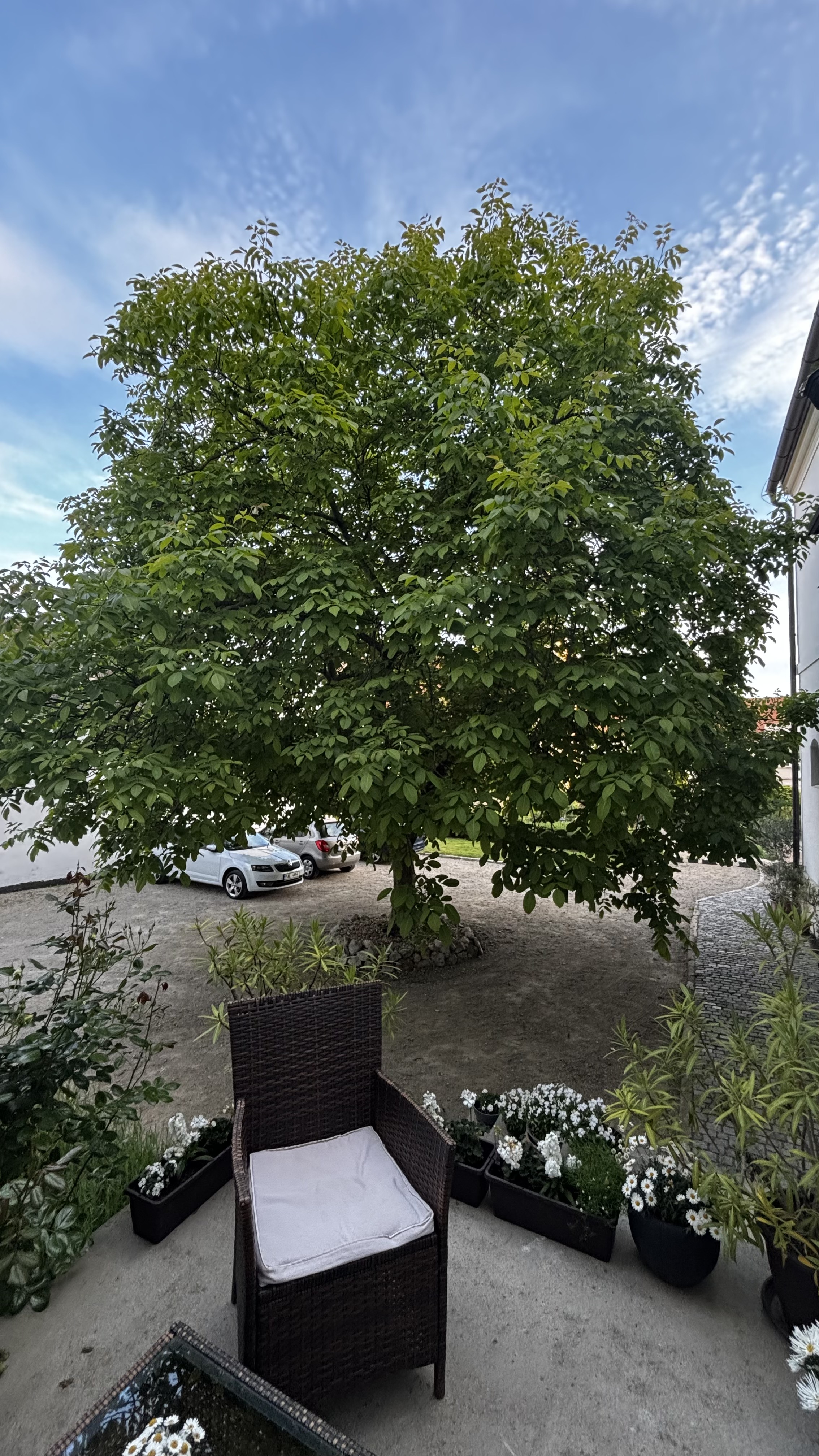 Apartmány Vienna foto 5