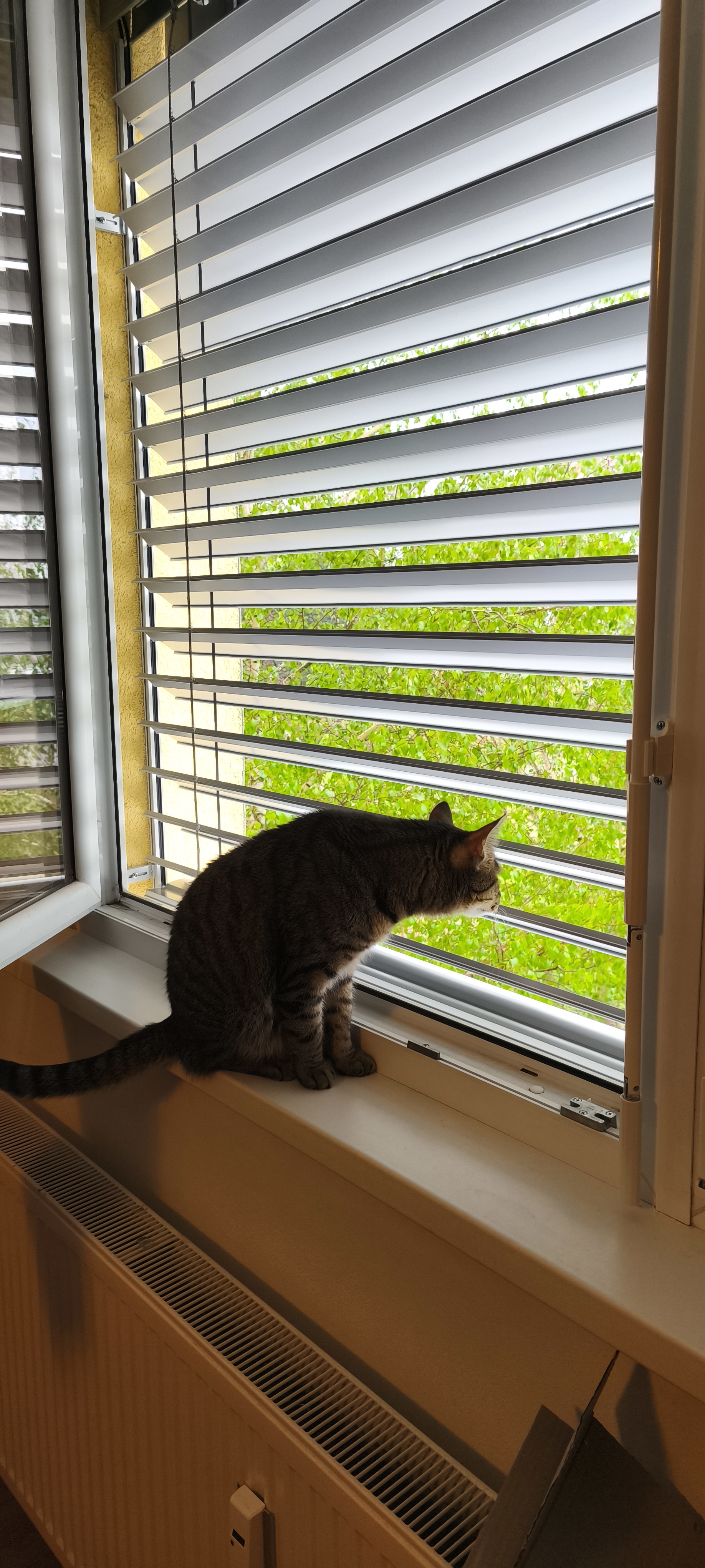 Vítězslav Slováček - žaluzie, sítě, servis a montáž oken foto 2