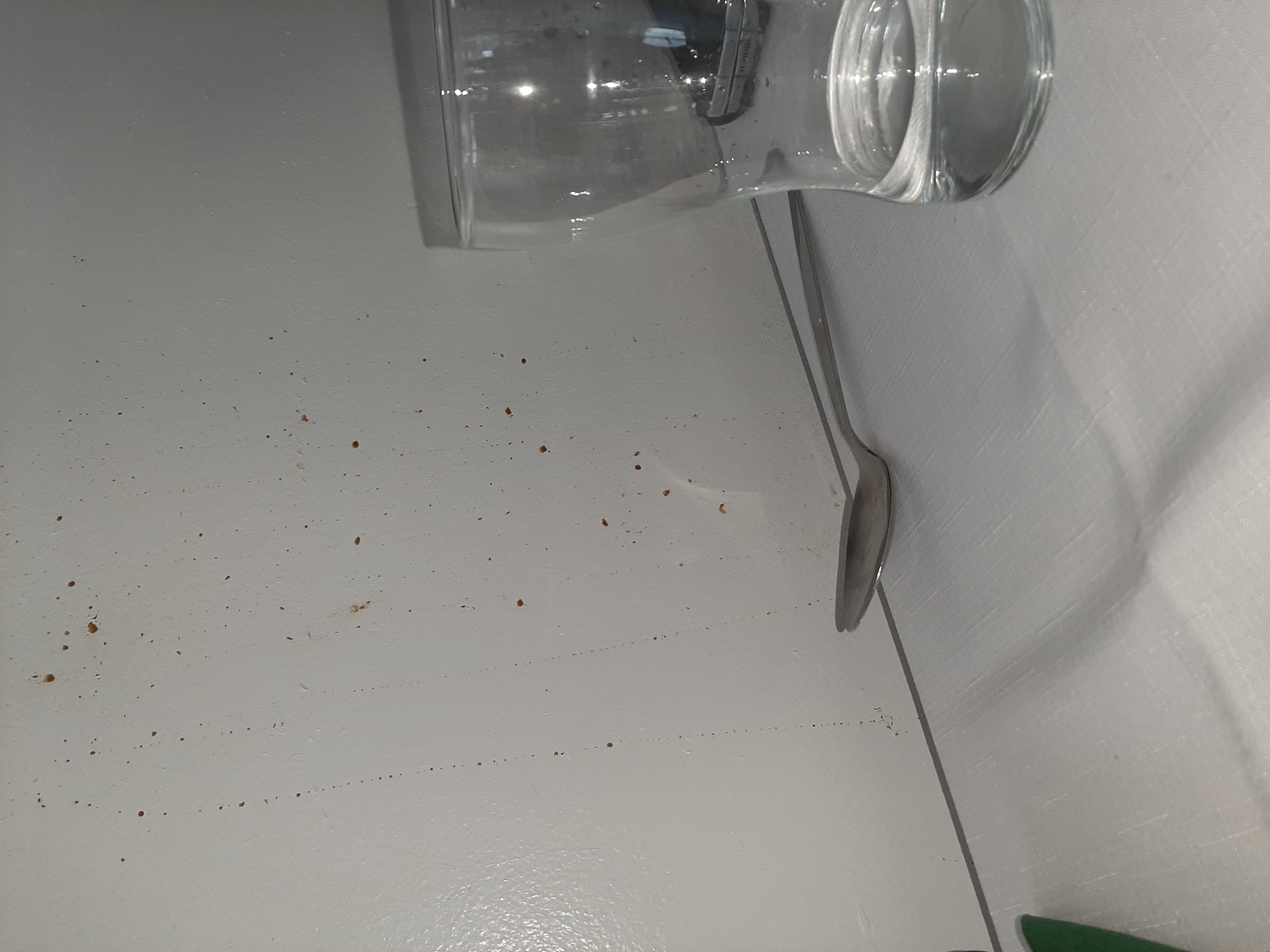 Západočeská univerzita v Plzni - Menza Bory foto 6
