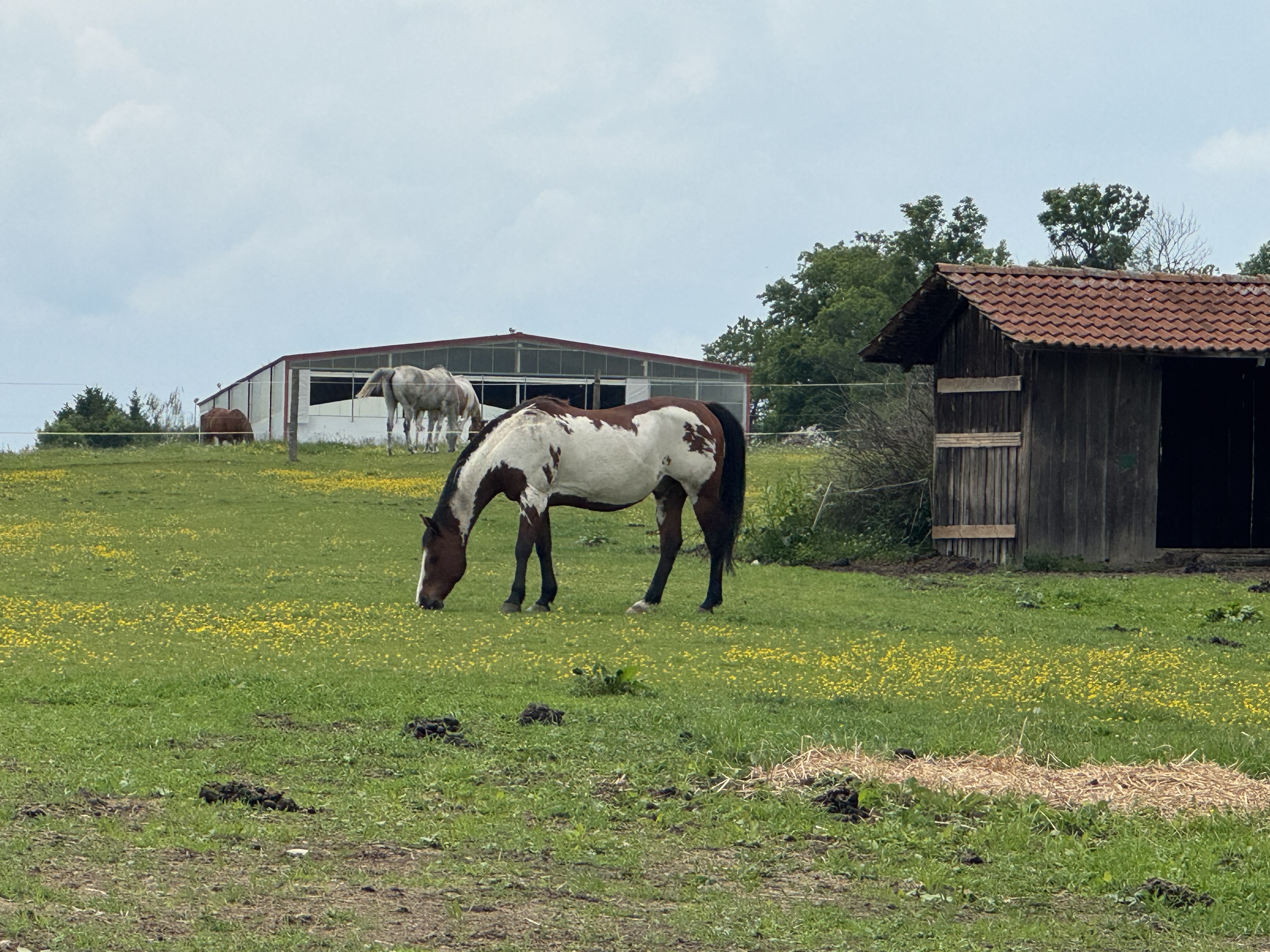 Občerstvení u Borůvky foto 3