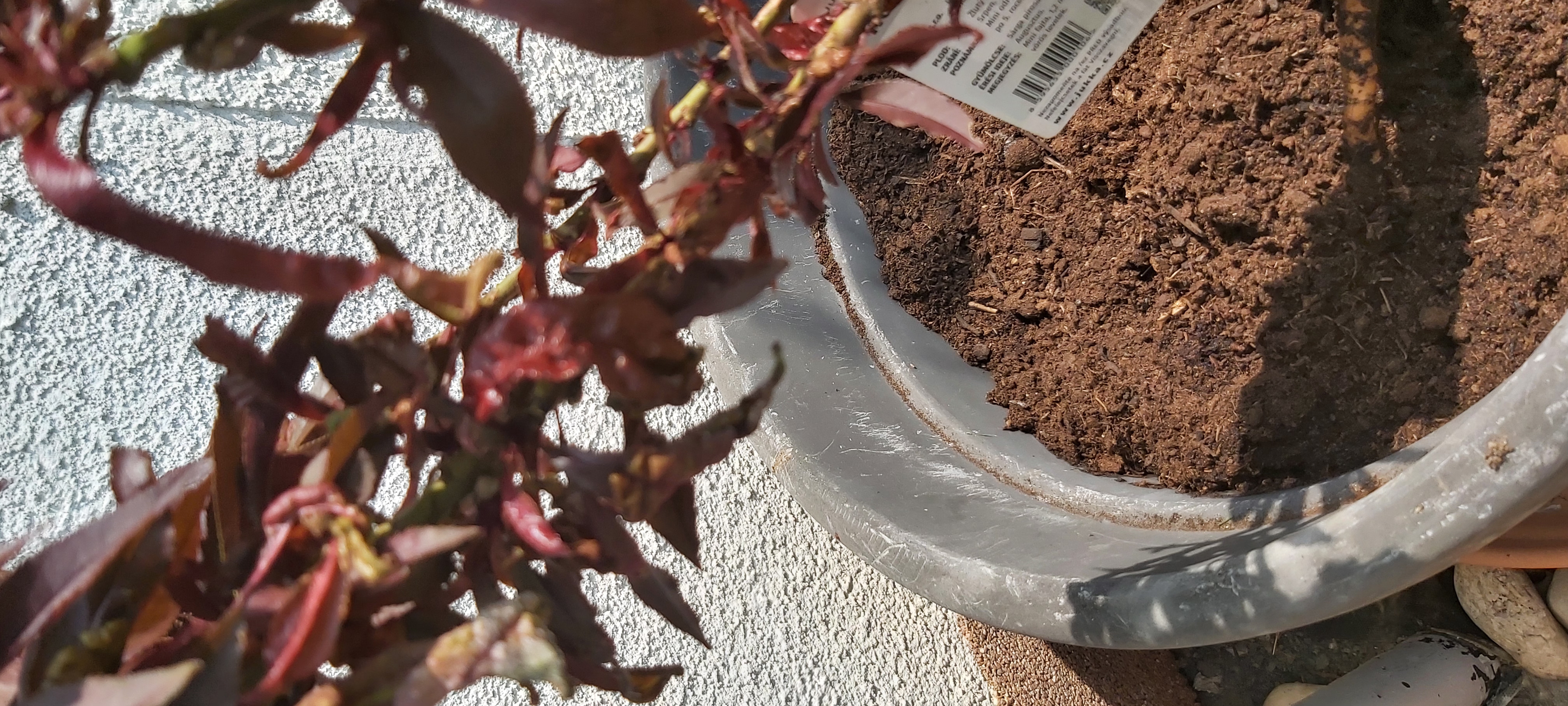 Zahradnictví V Ráji foto 2