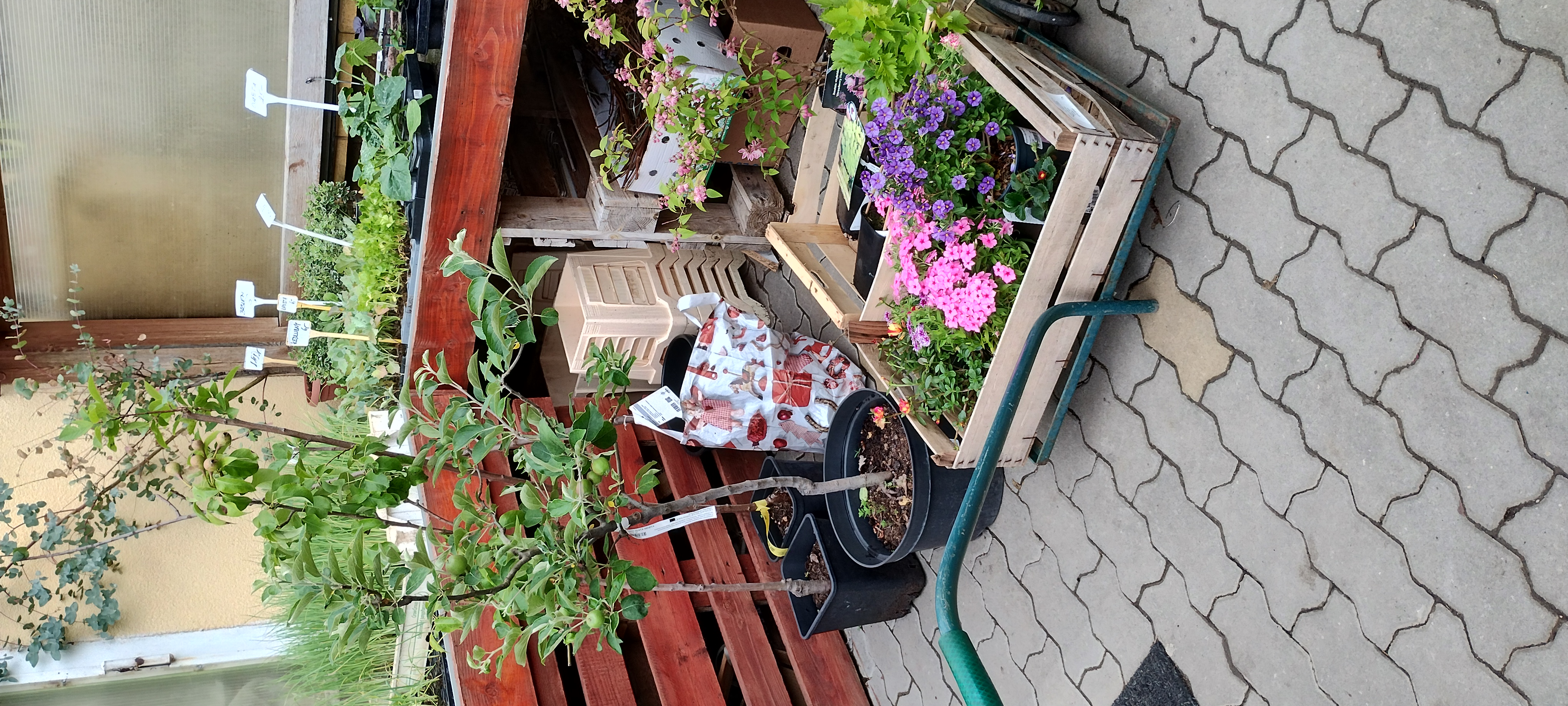 Zahradnictví Kopetka foto 3