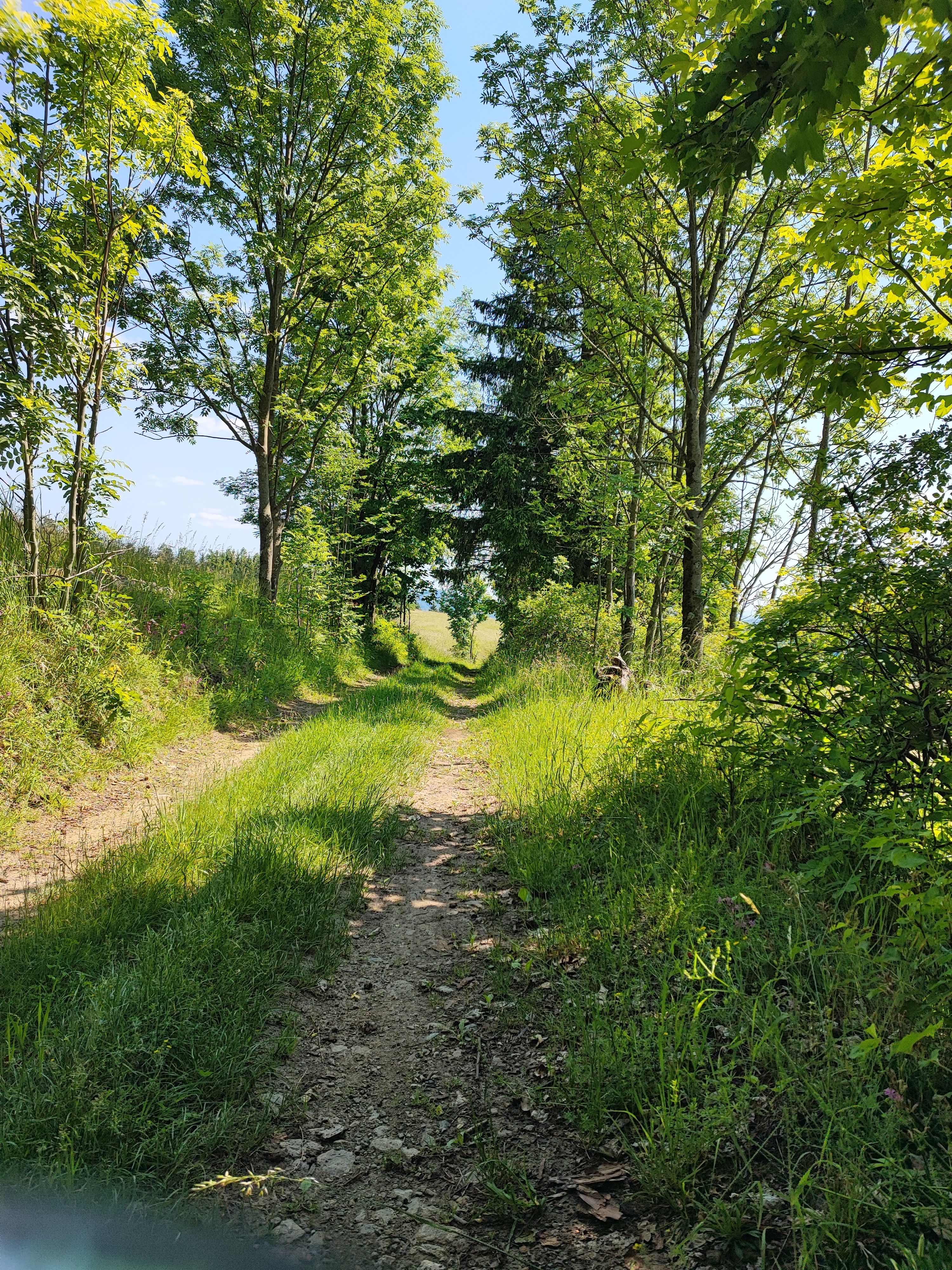 Chaloupka na konci světa foto 3
