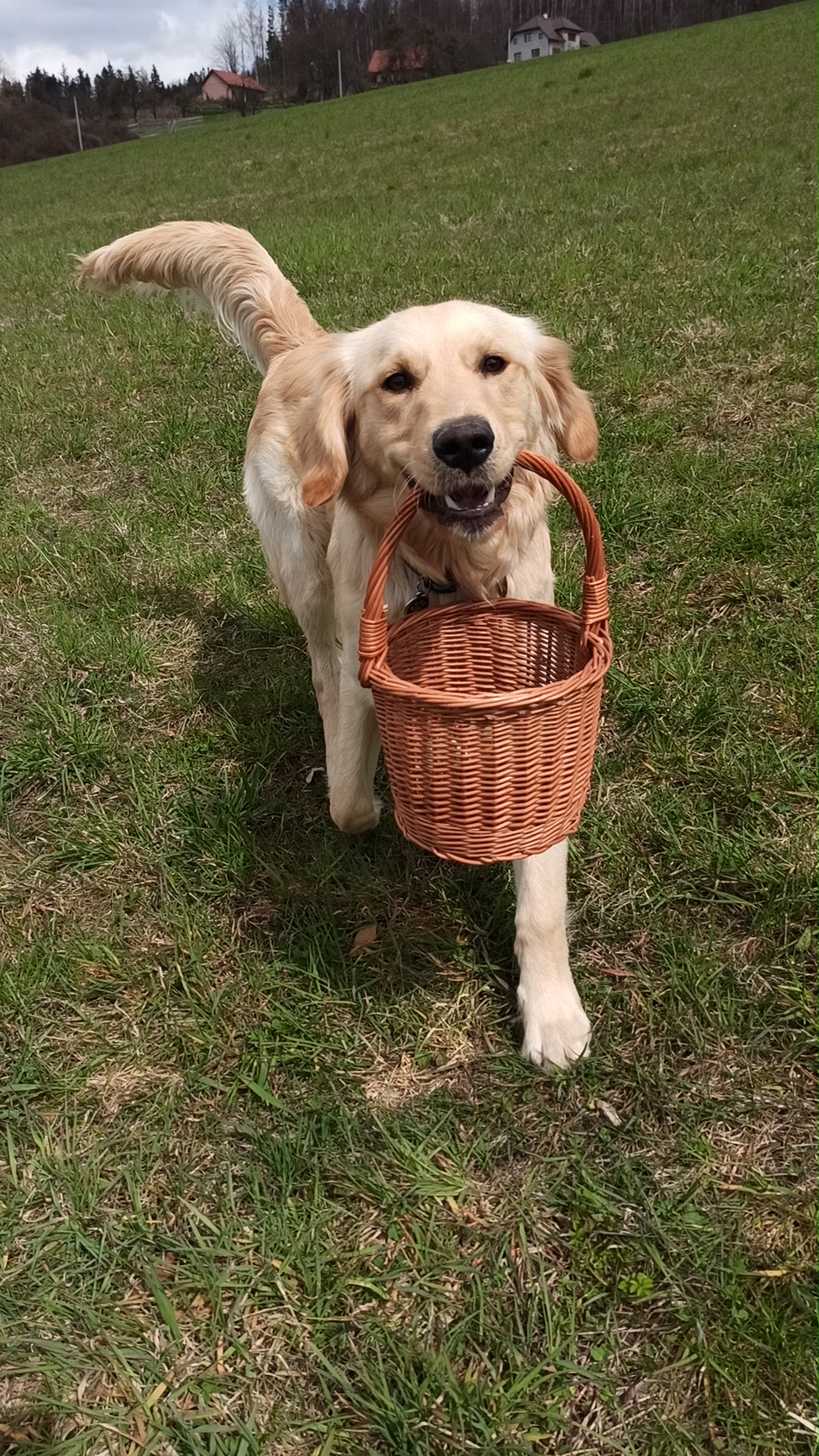 Mgr. Lenka Olšová - výuka angličtiny a zážitkové akce foto 3