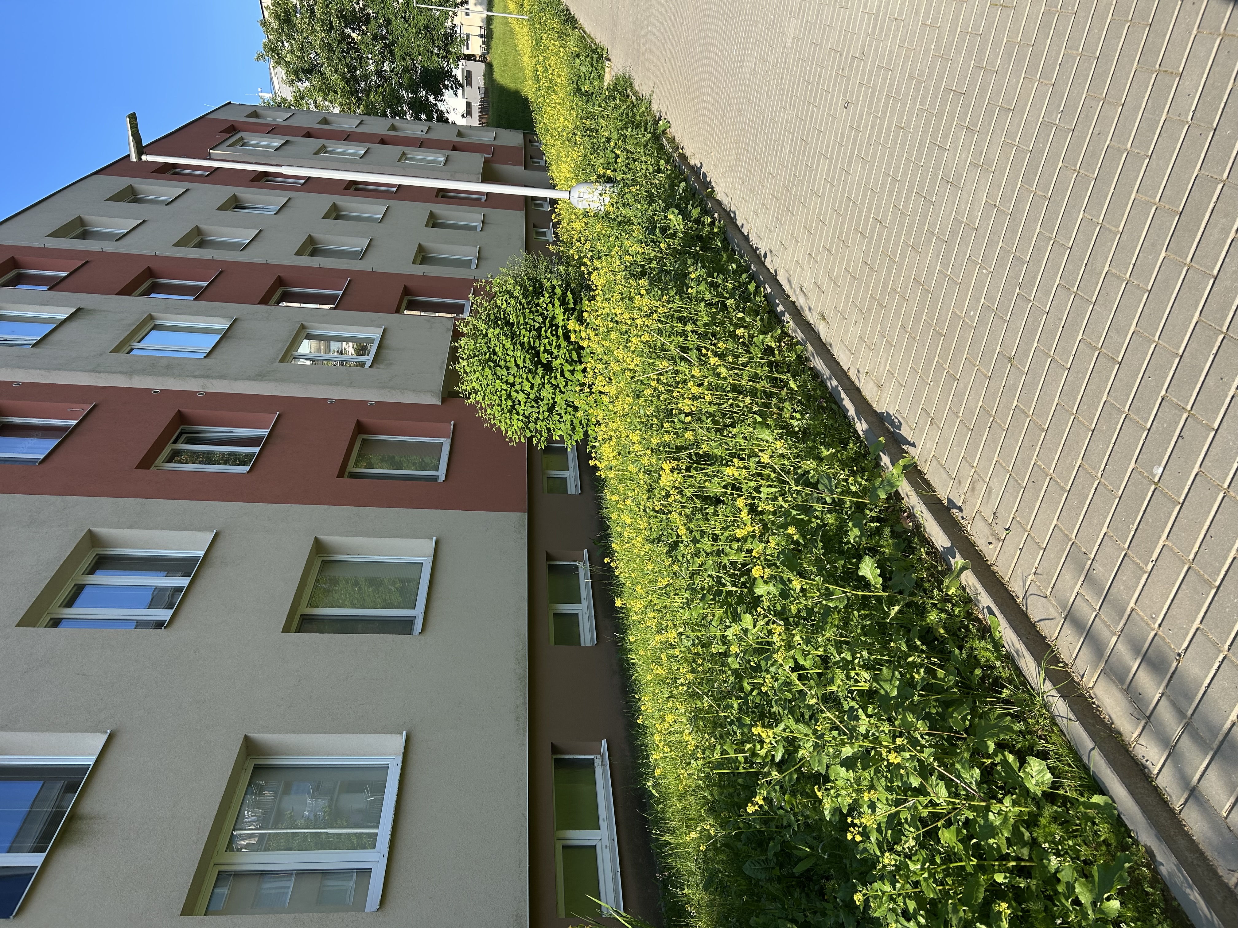 TBS Světlá nad Sázavou foto 2