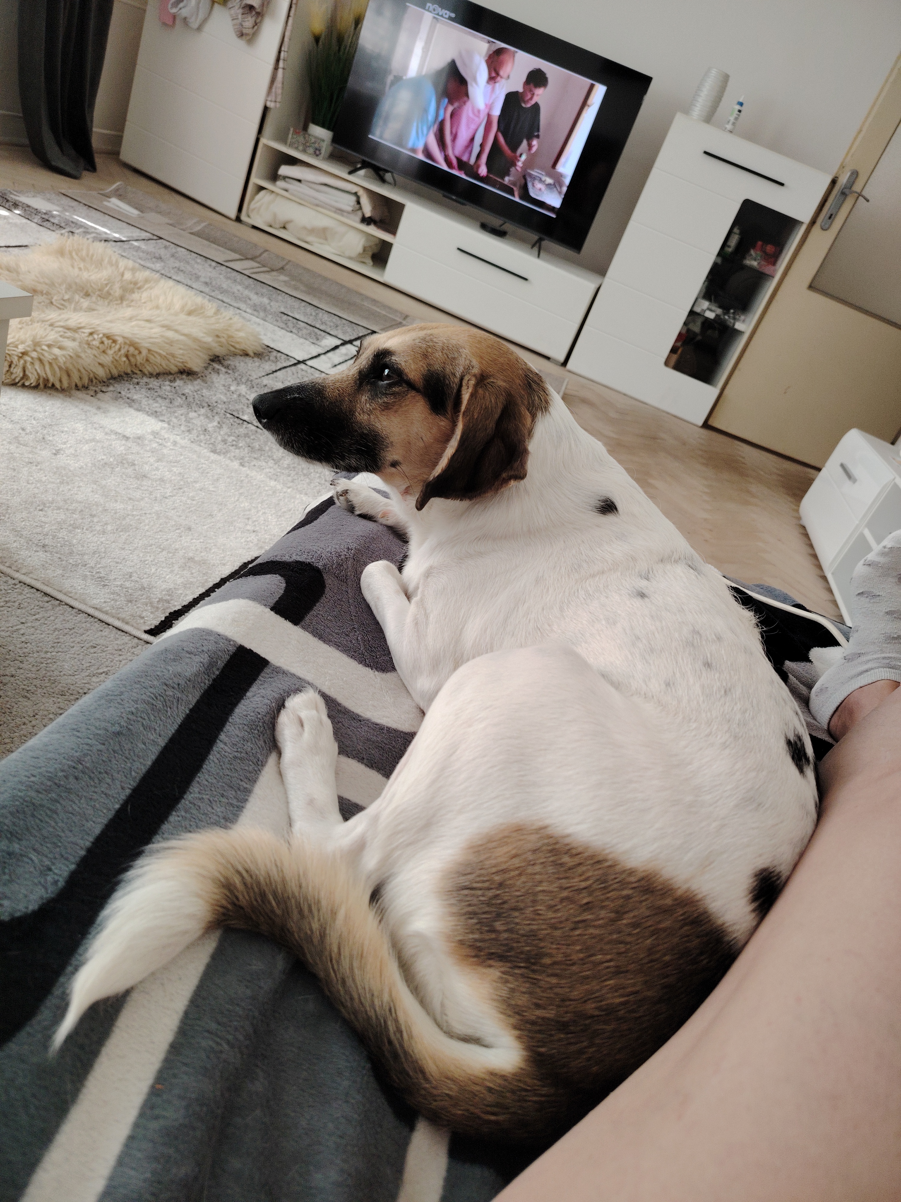 MVDr. Petr Kukuč - Veterinární klinika foto 2