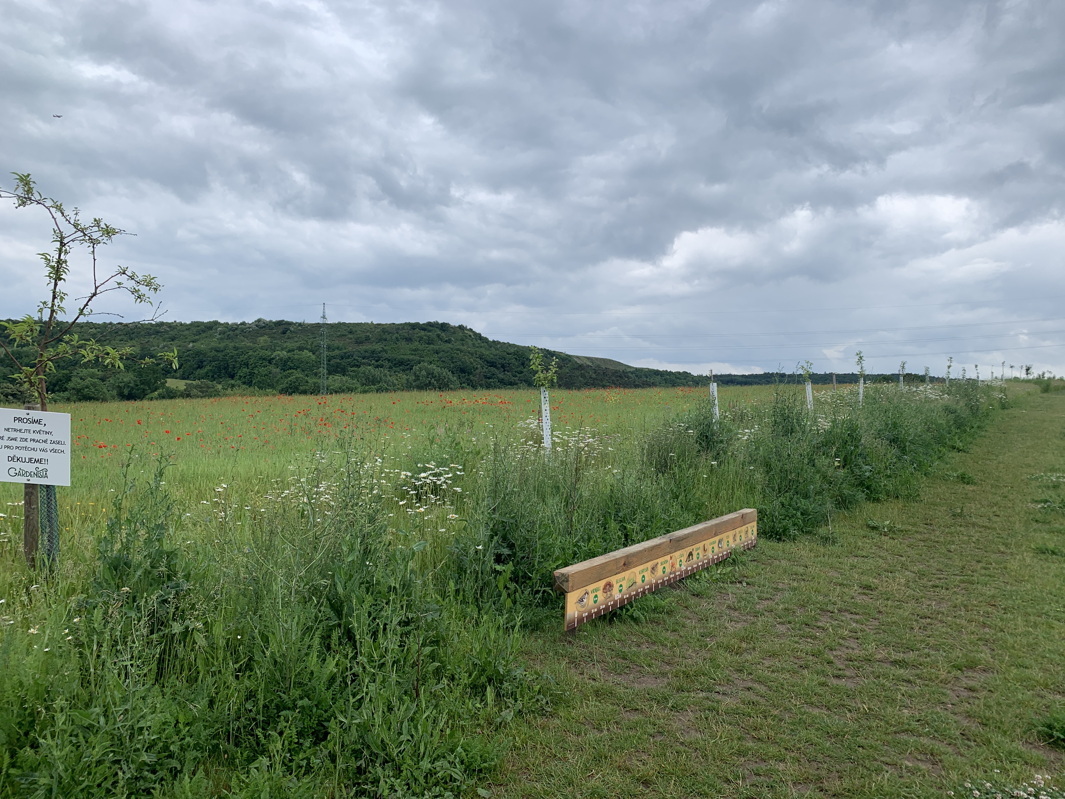 Gardenista.cz foto 4