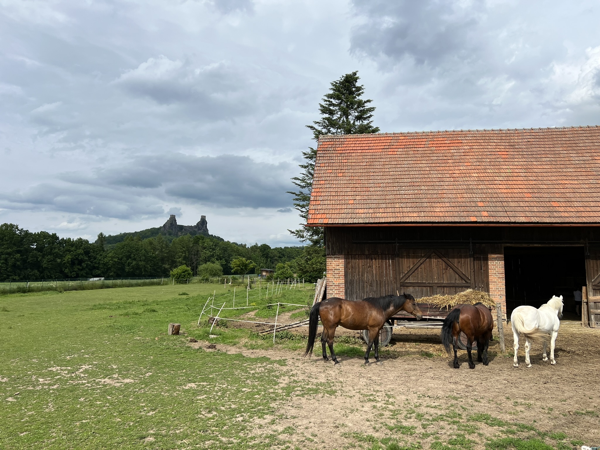 Relaxační ježdění Hana Vítová foto 2