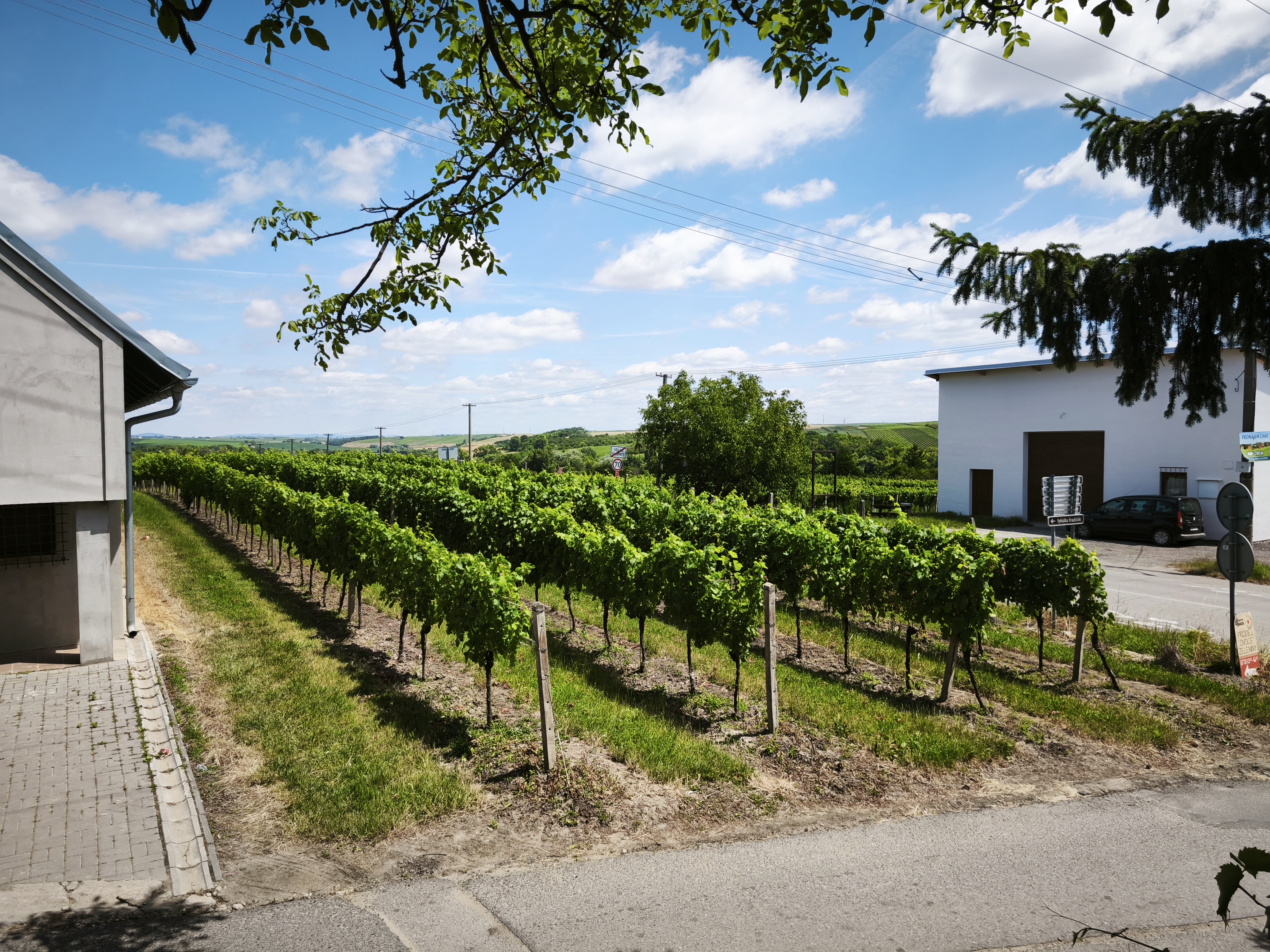 Ubytování - Sklípek pro Vás foto 4