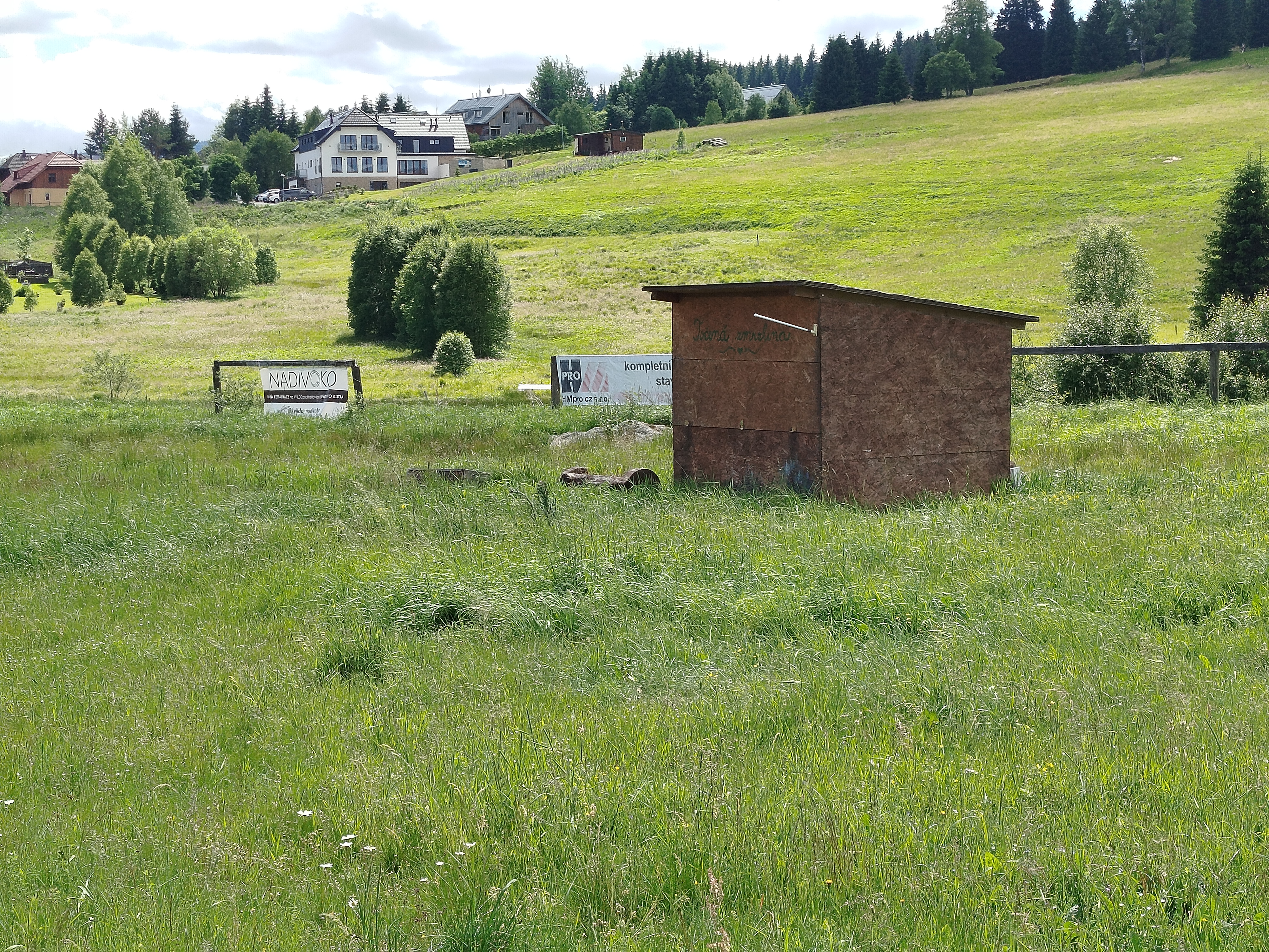 Nabíjecí stanice Občerstvení Z mechu a kapradí foto 6