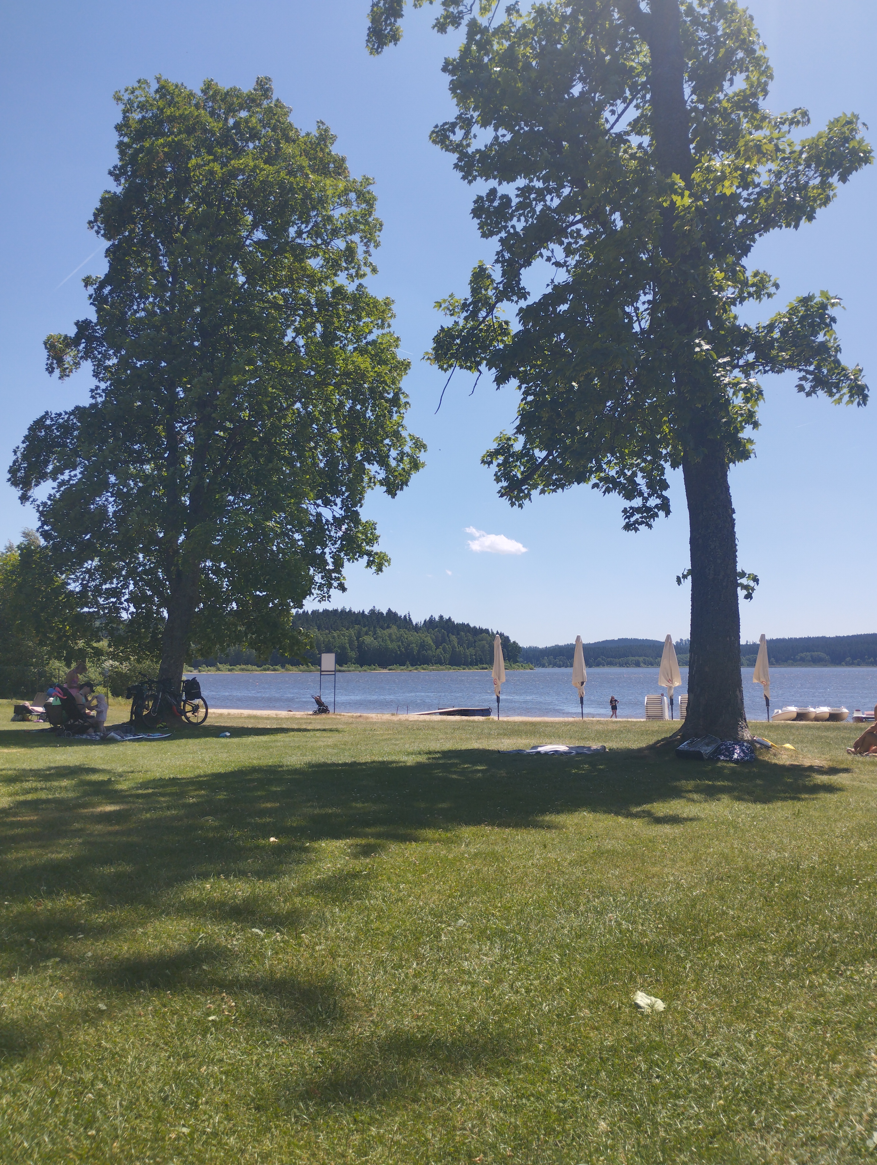 Ubytování Horní Planá foto 2