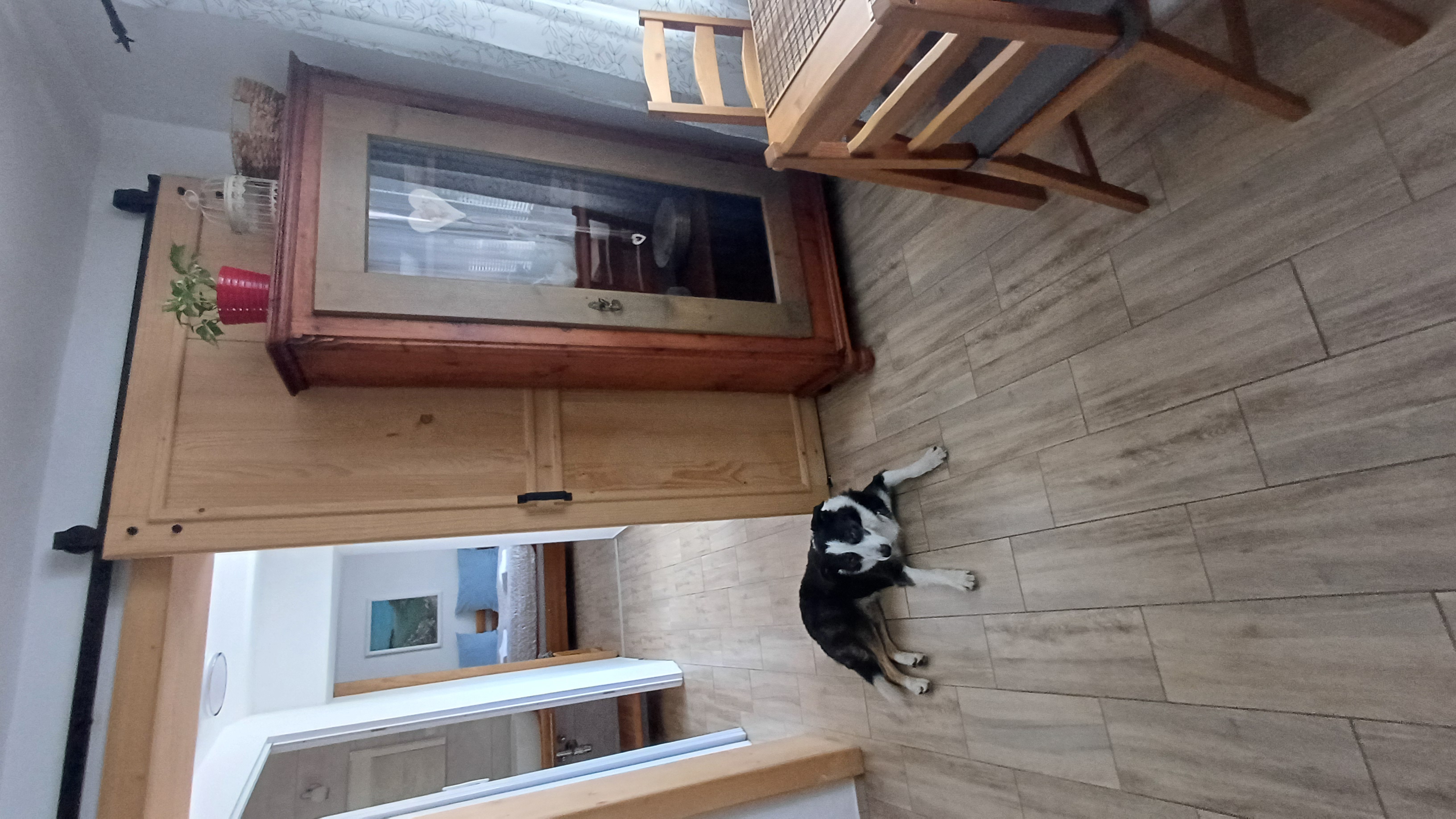 Ubytování u Renči foto 4