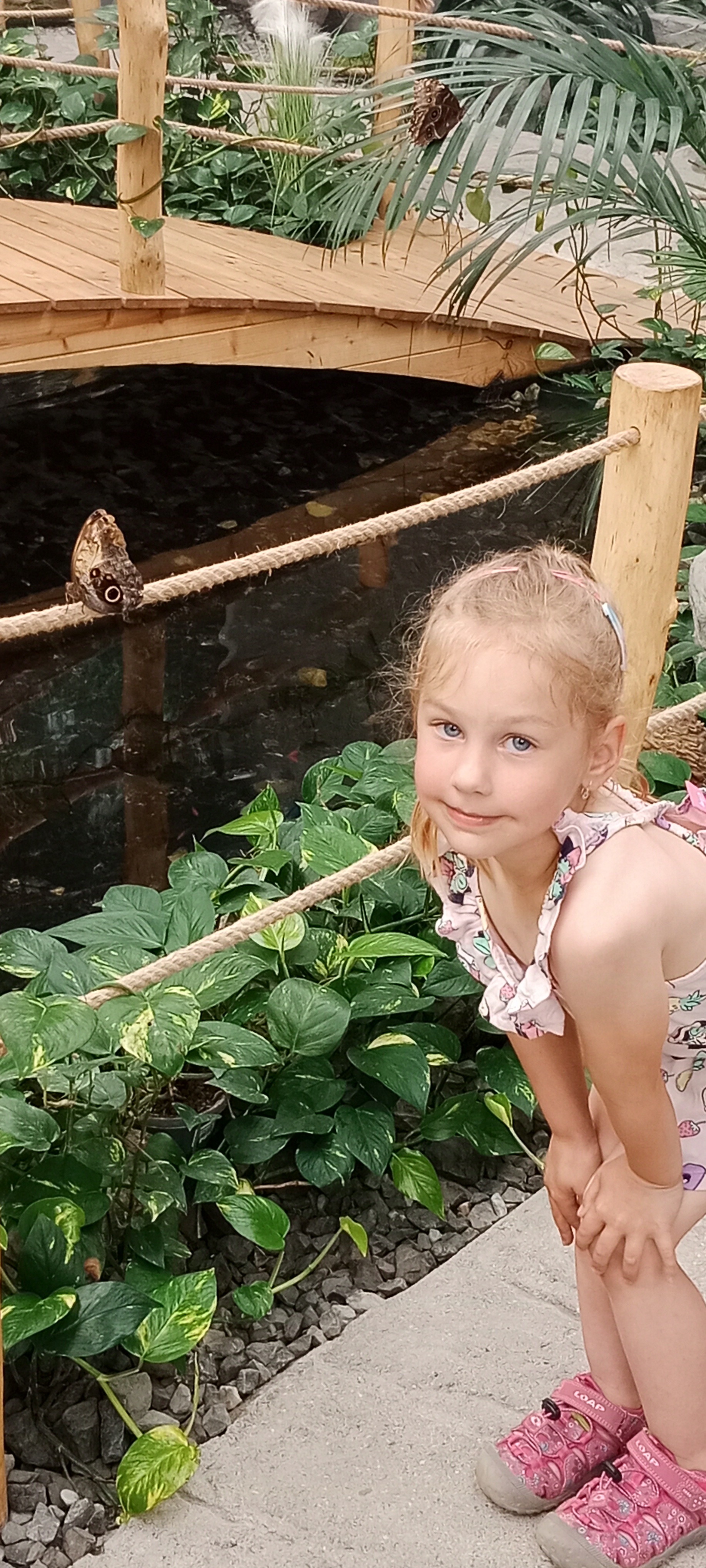 Papilonia – motýlí dům Karlštejn foto 6