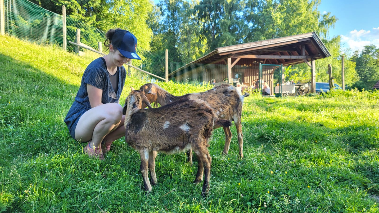 Farma Mošna foto 6
